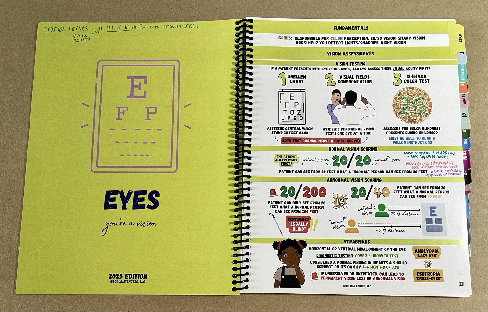 Family Nurse Practitioner: Board Prep Study Guide, 2025 Edition, ScrubLifeNotes