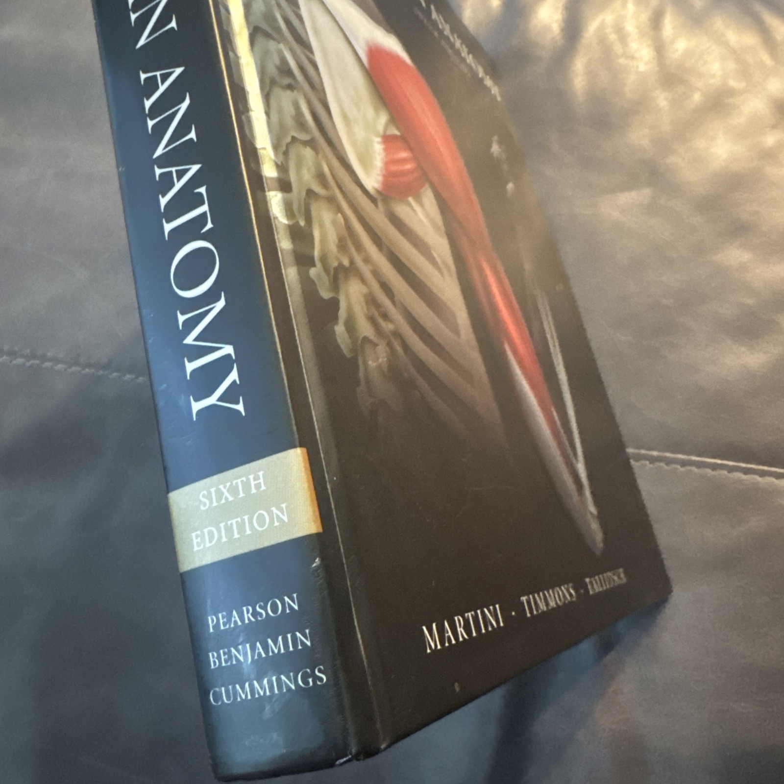 Human Anatomy (6th Edition) – Hardcover By Martini, Frederic H.