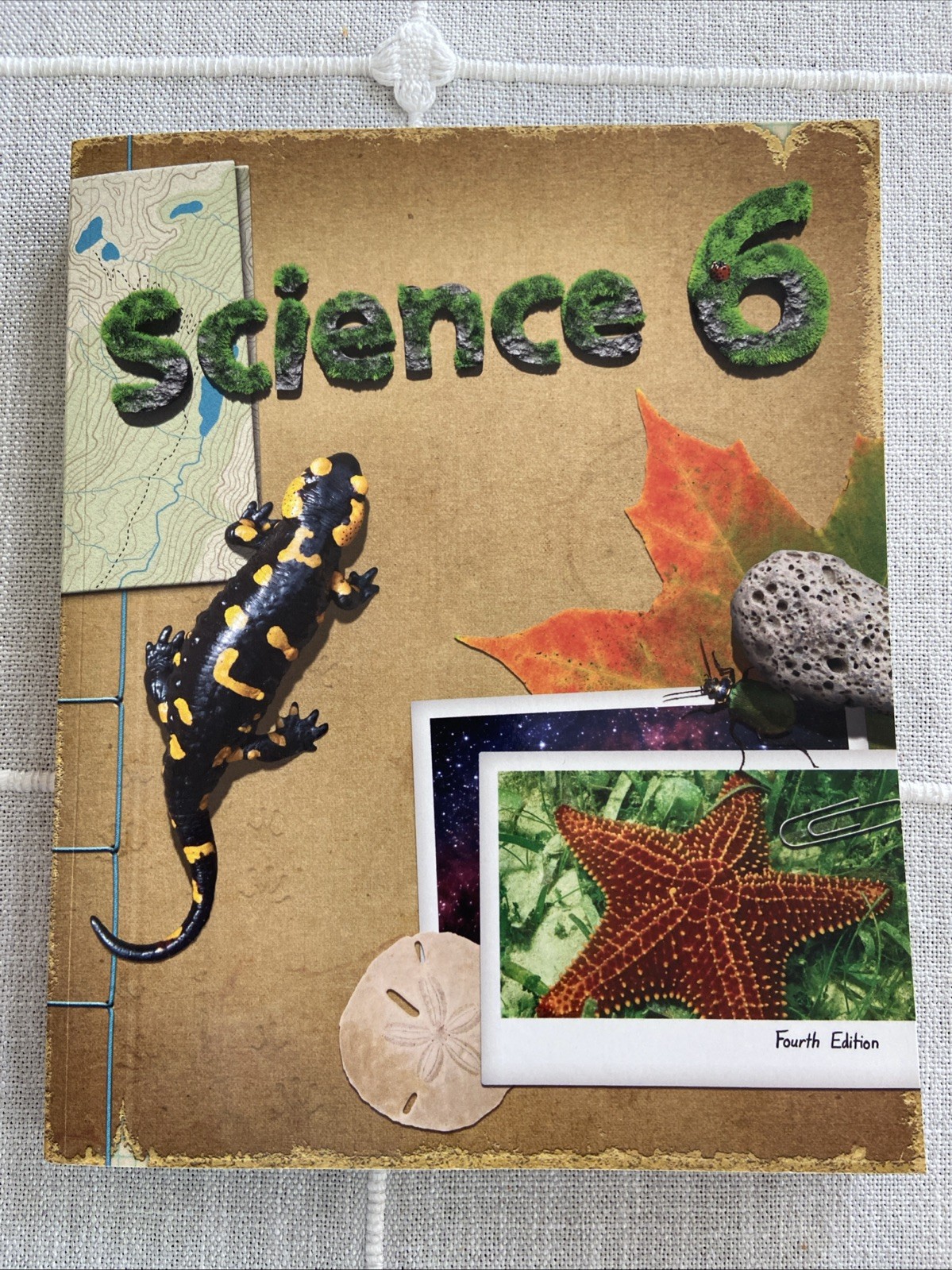 NEW!! BJU Press SCIENCE 6 Student TextBook 522391 Bob Jones Text CURRENT 4th Ed