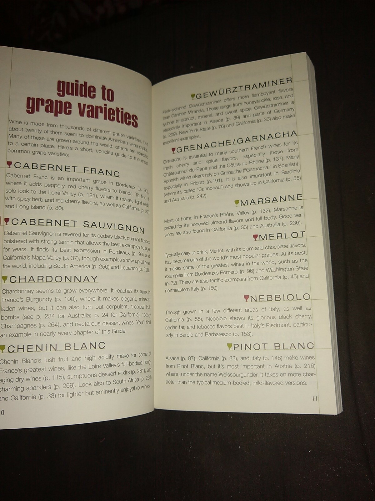 Wine Guide 2009 by Jamal Rayyis. Food and Wine Magazine. 320 pages