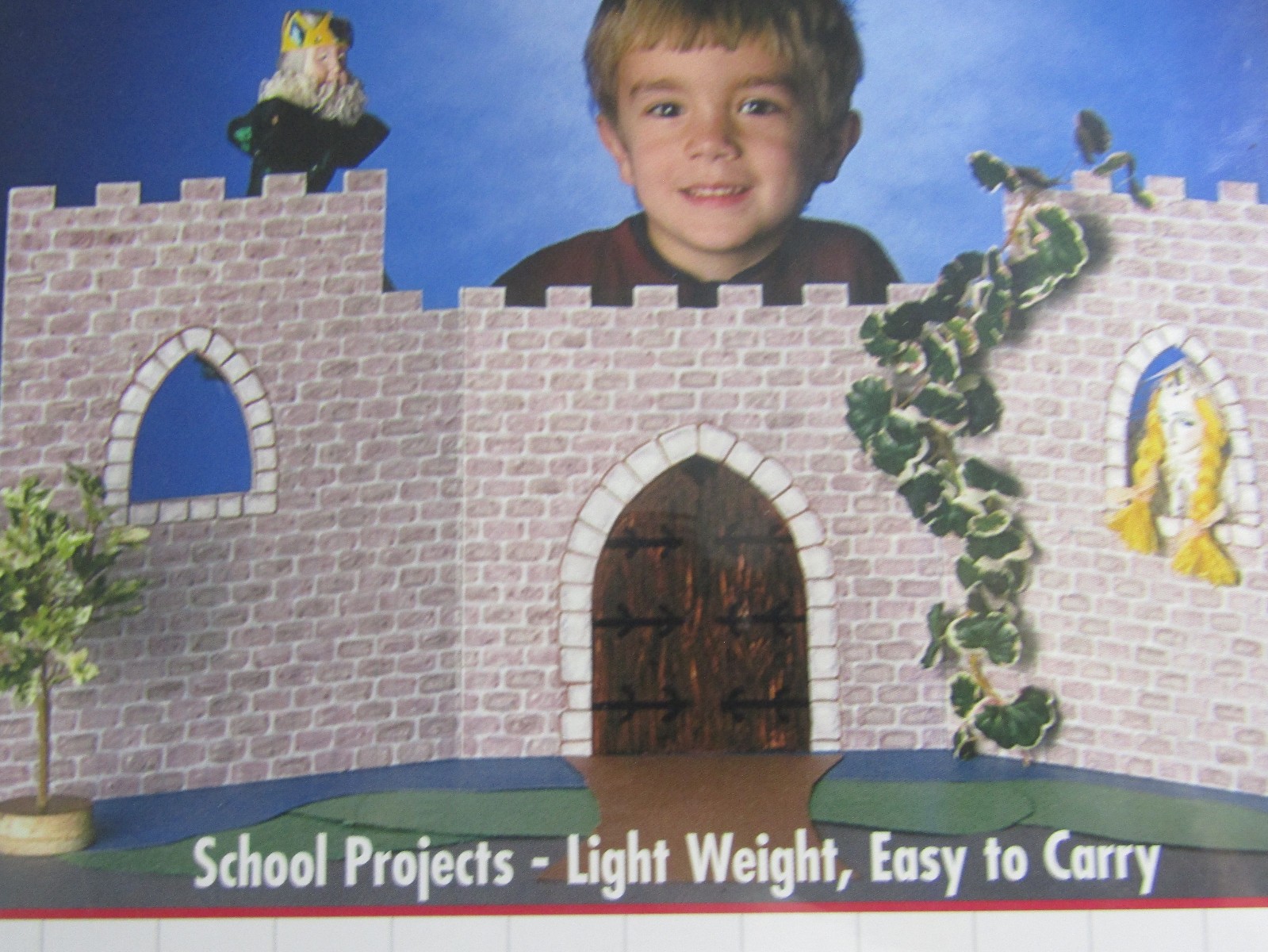 Tri-Fold Project Board Ghostline School/Teach Projects Business Presentations