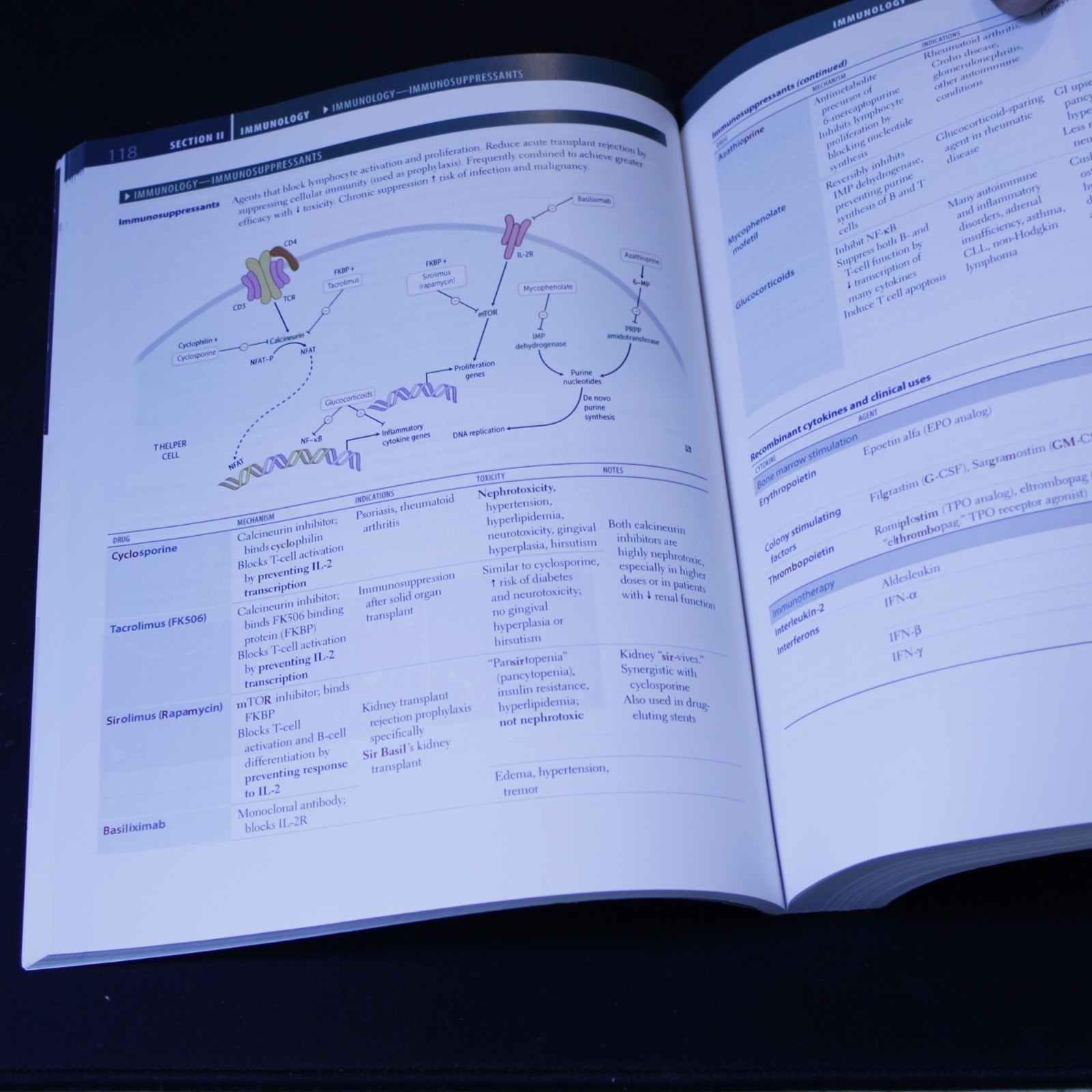 Master Your Medical Future with the Ultimate 2023 First Aid Paperback for USMLE