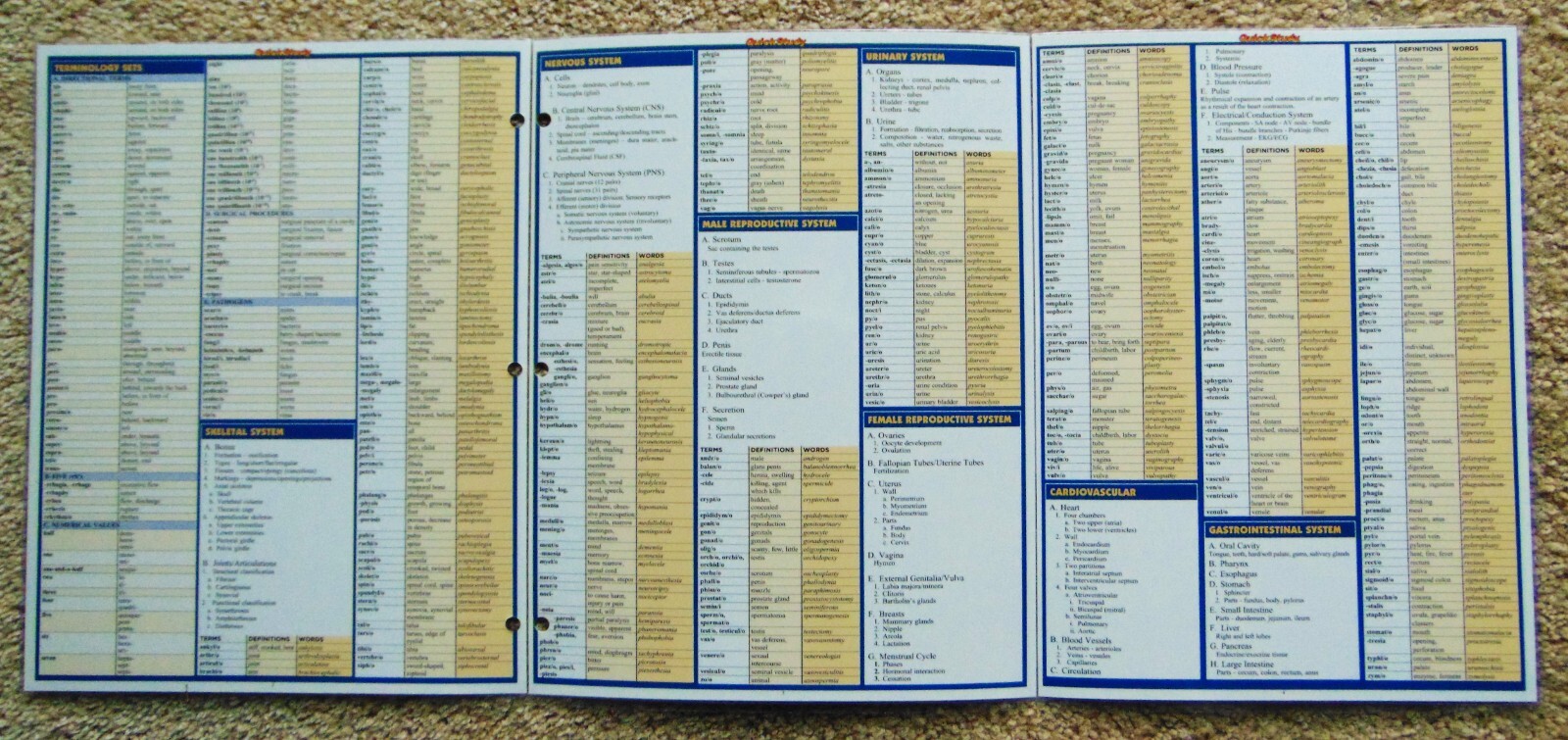 MEDICAL TERMINOLOGY THE BODY ~QUICK STUDY TRI-FOLD LAMINATED REFERENCE GUIDE-NEW