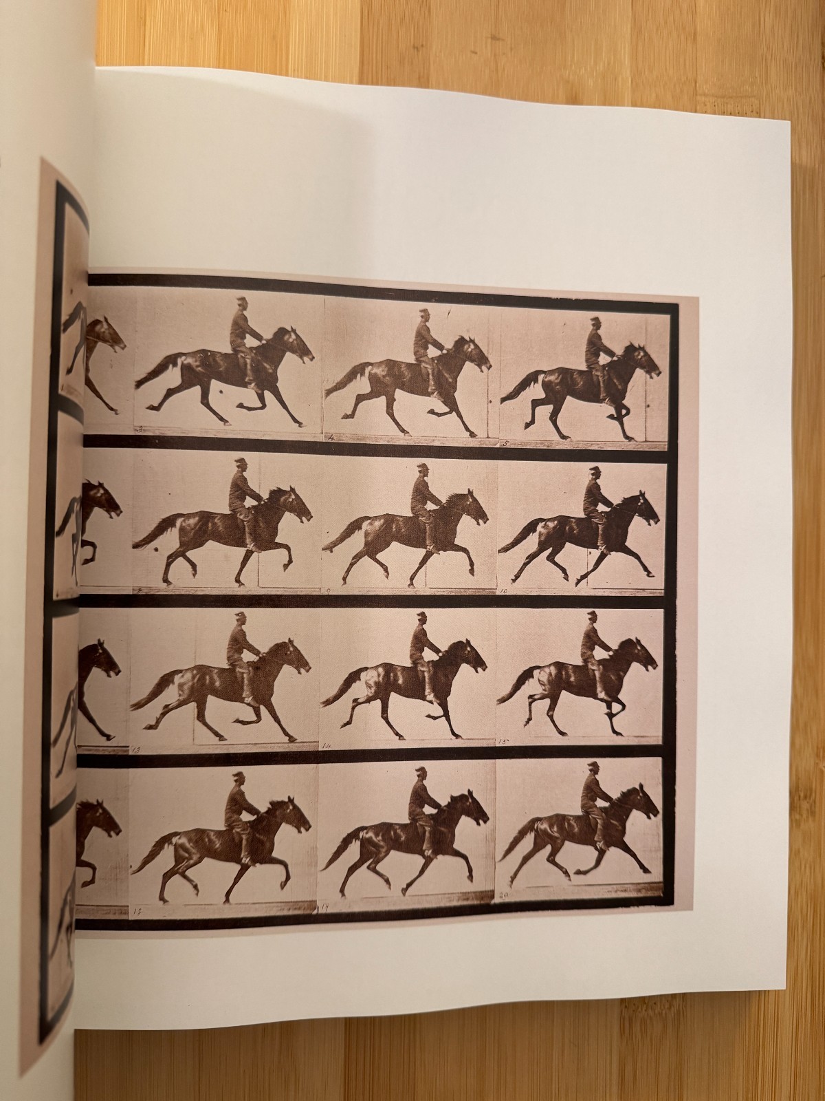 TREASURES of the New York Public Library (2021) FIRST EDITION Hardcover Book
