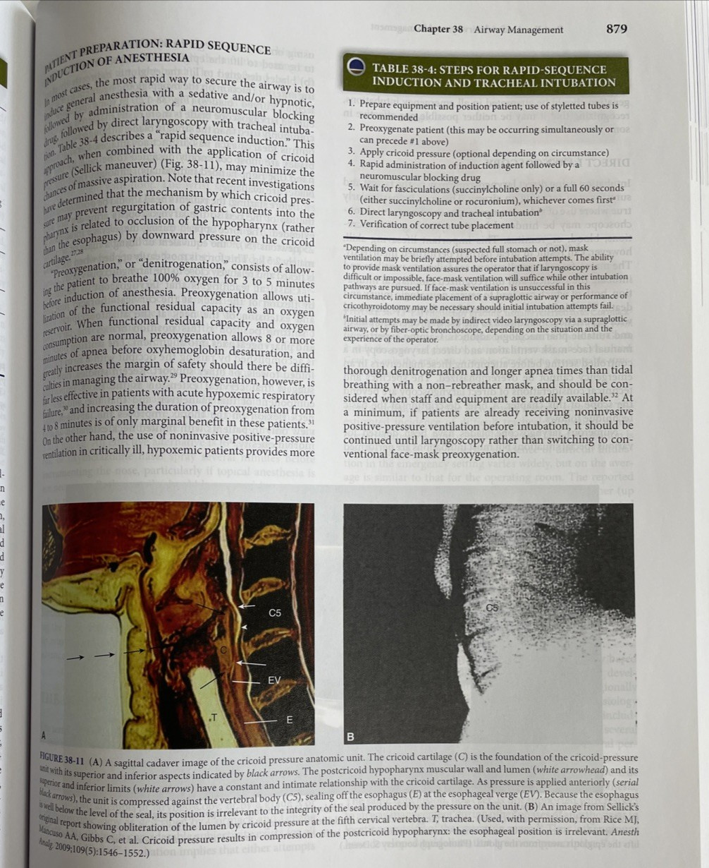 Principles And Practice of Mechanical Ventilation 3rd Edition Martin Tobin 2018