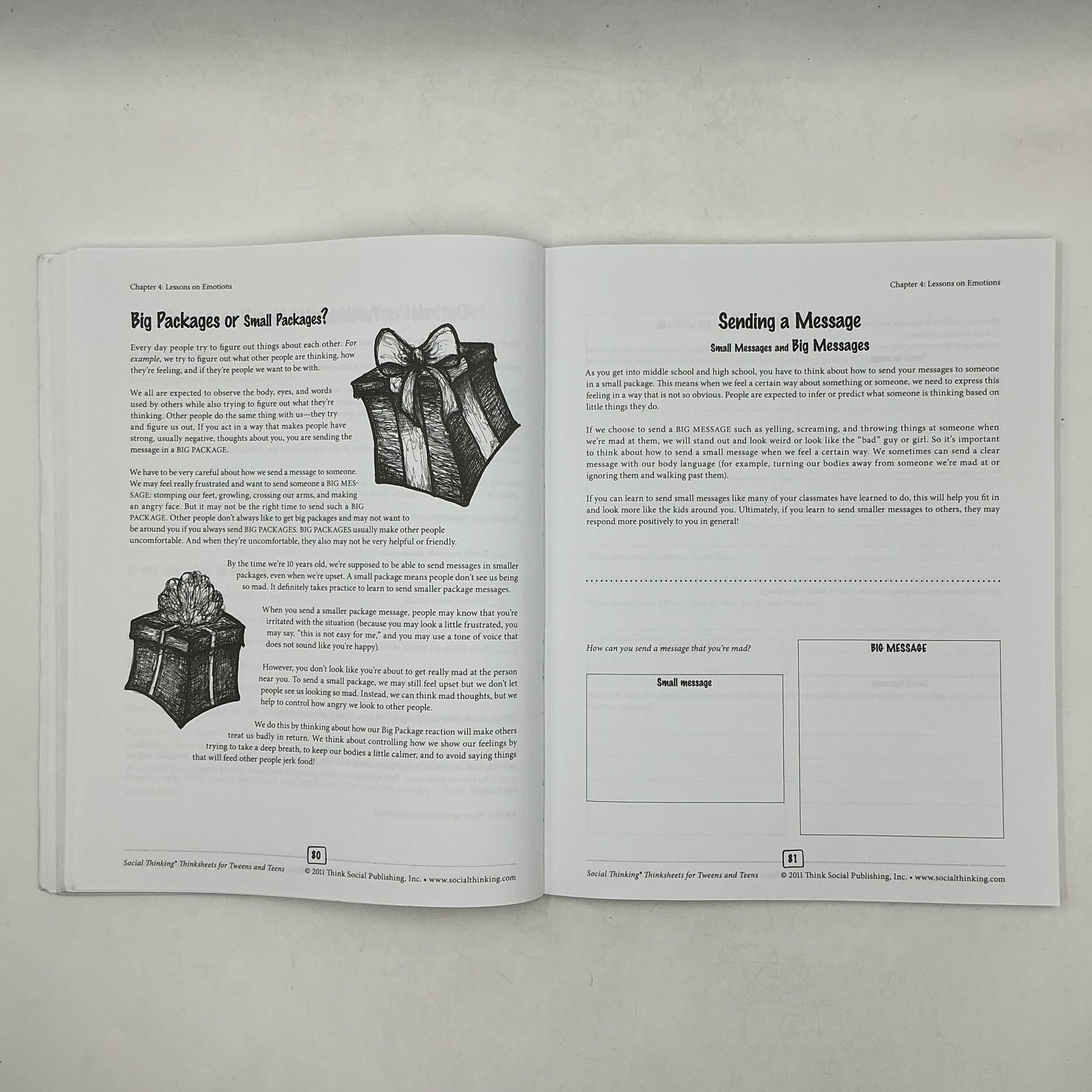 Social Thinking Thinksheets For Tweens And Teens Michelle Garcia 2011 No CD