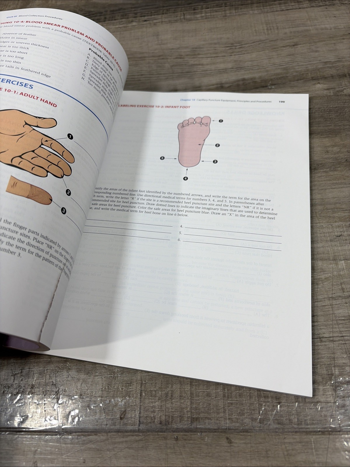 Student Workbook for Phlebotomy Essentials, Enhanced Edition by Ruth E. McCall