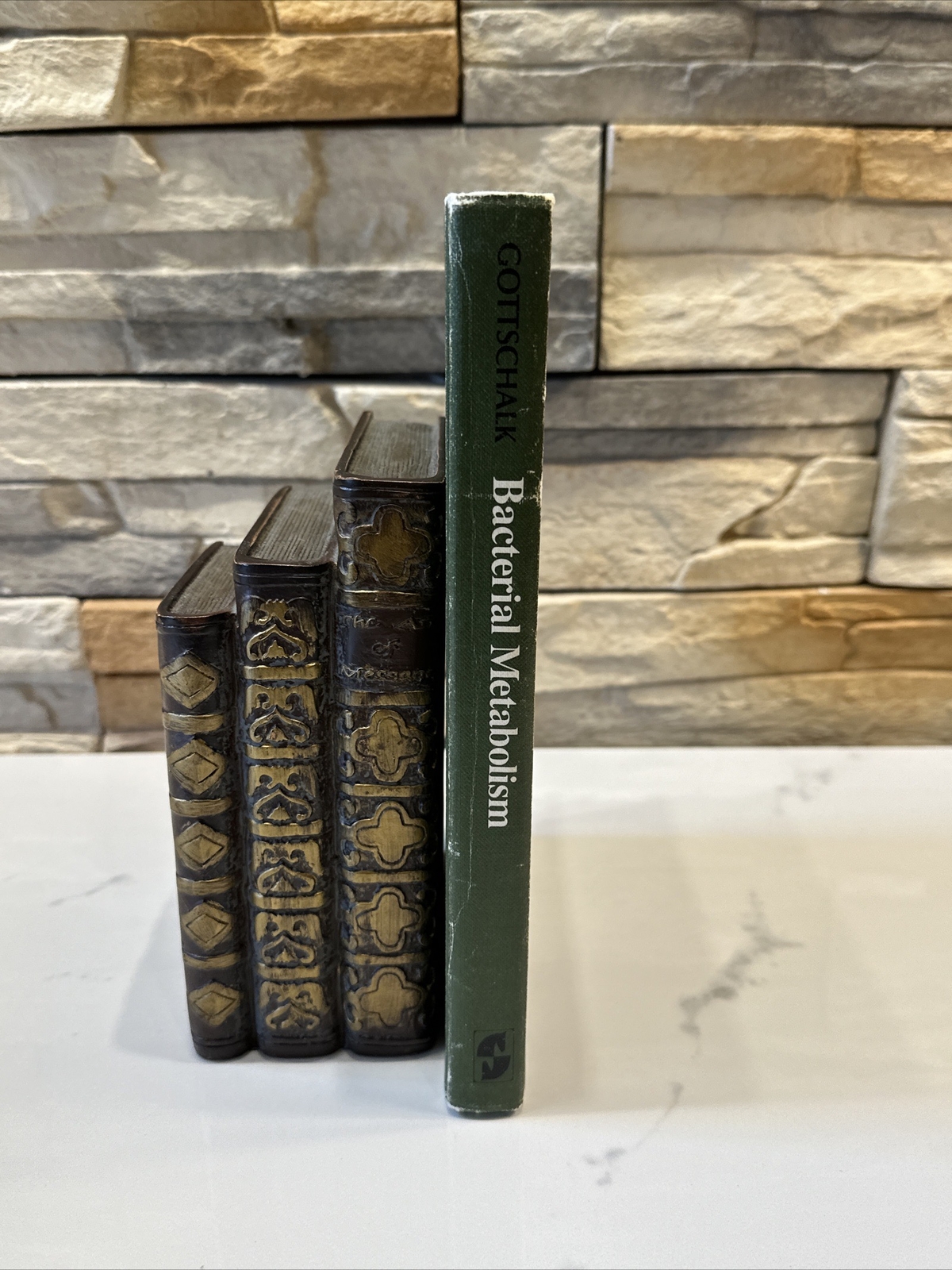Bacterial Metabolism by Gottschalk, Gerhard Springer Verlag New York 1979 HC