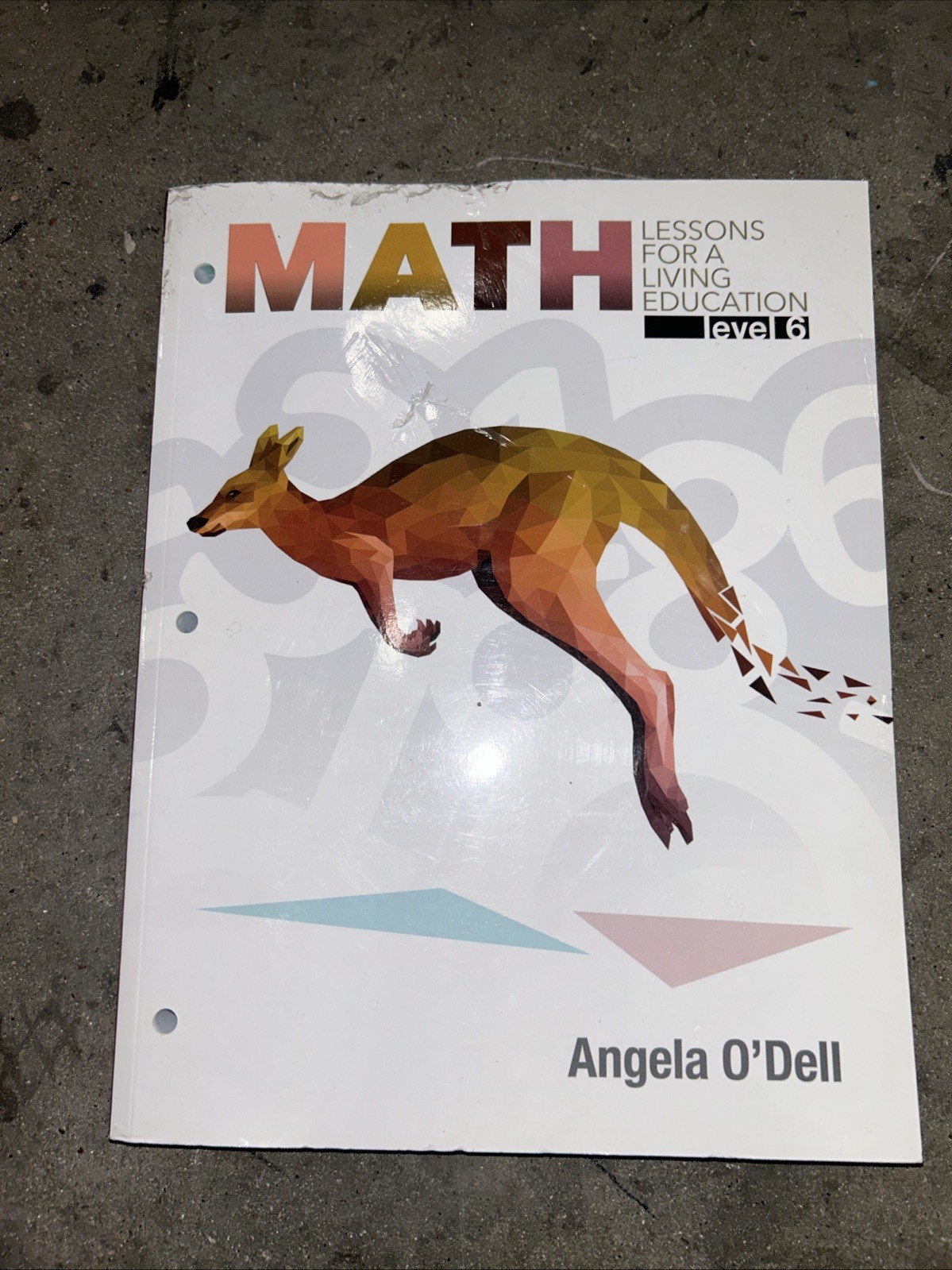 Math Lessons for a Living Education Level 6 by Angela O’dell