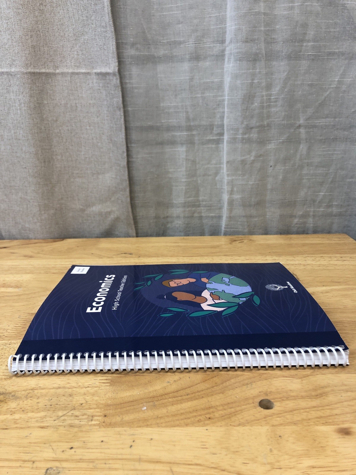 Oak Meadow High School Economics Teacher Edition + The Economics Book Textbook
