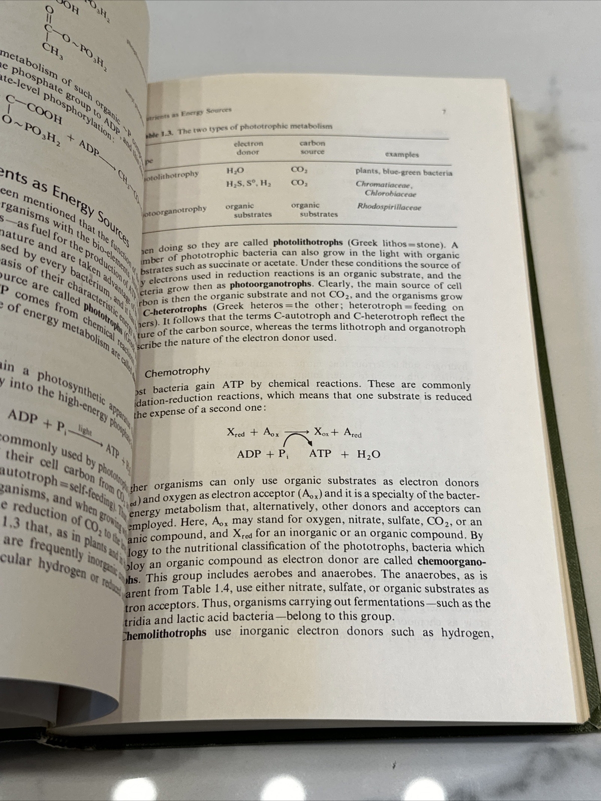 Bacterial Metabolism by Gottschalk, Gerhard Springer Verlag New York 1979 HC
