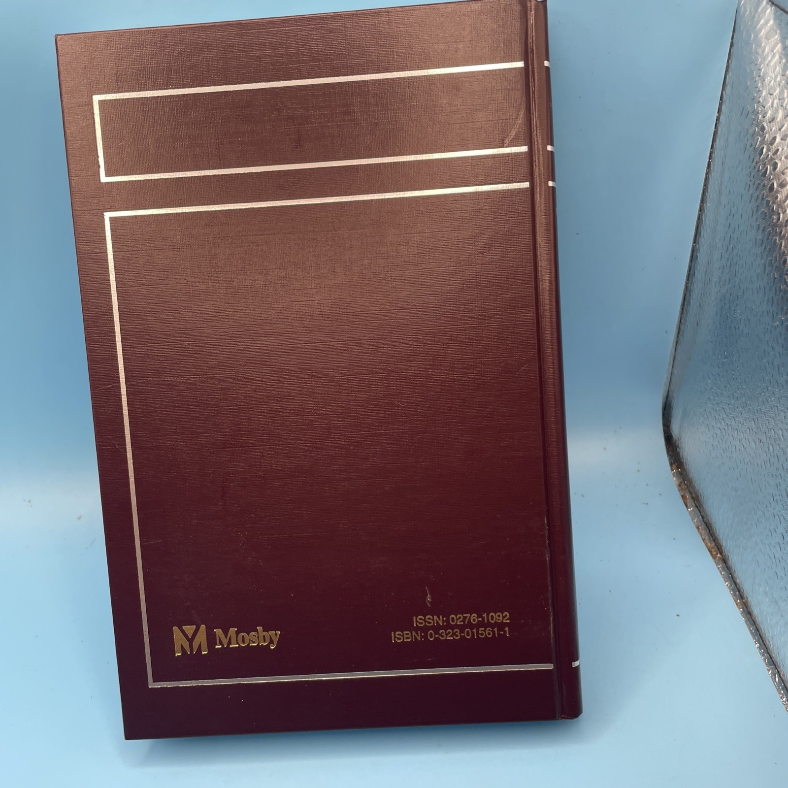 2002 Year Book of Orthopedics by Bernard F. Morrey (Hardcover)