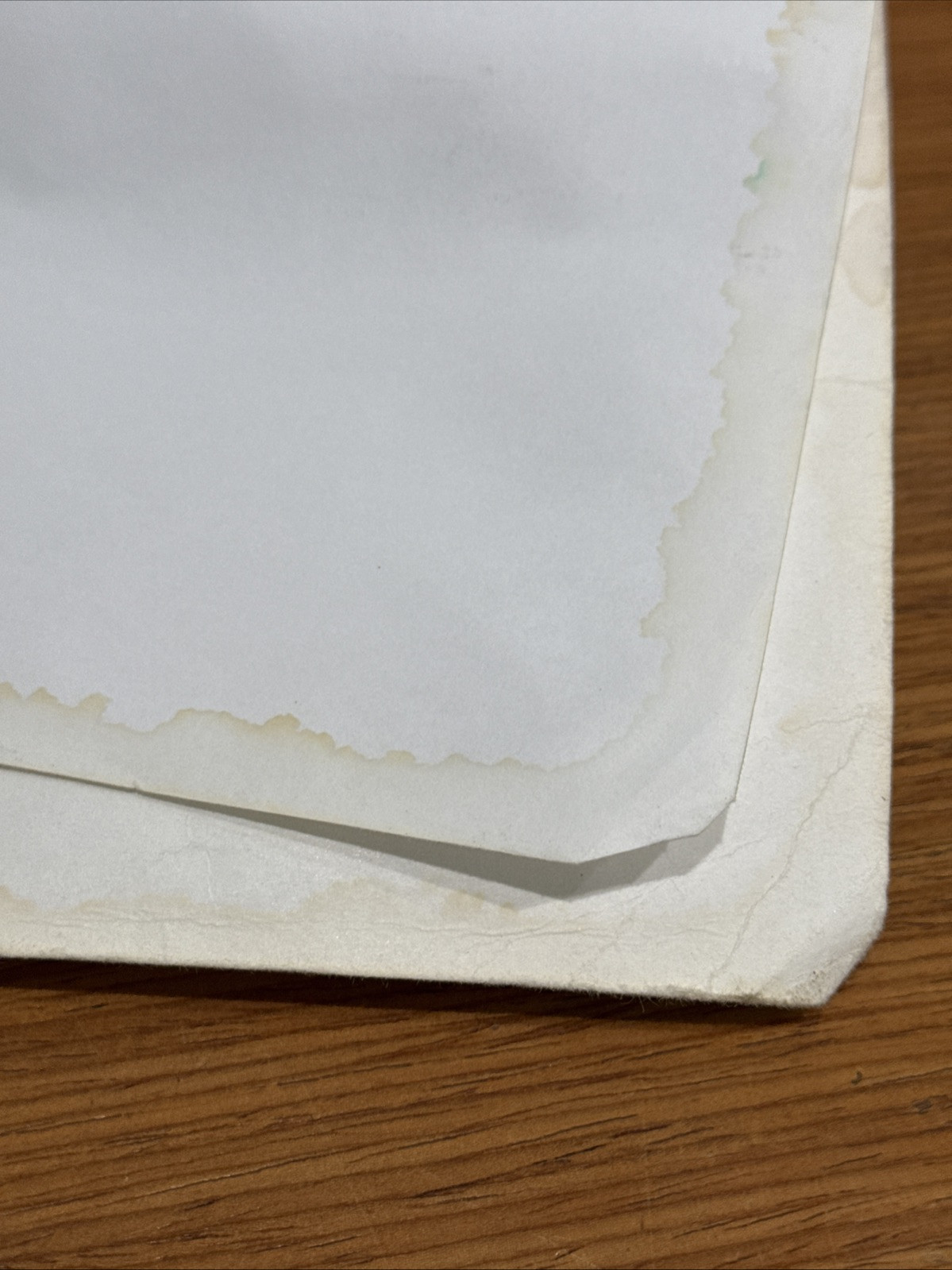 Demography: The Study of – Paperback, by Jennifer Hickes Lundquist