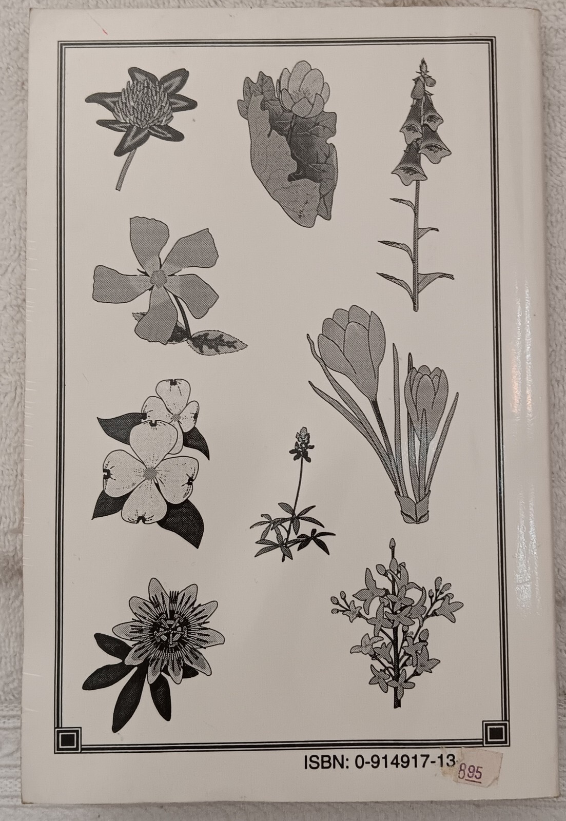 Herbal & Folk Medicine of Louisiana and the South (Touchstone • 1993 • Signed)