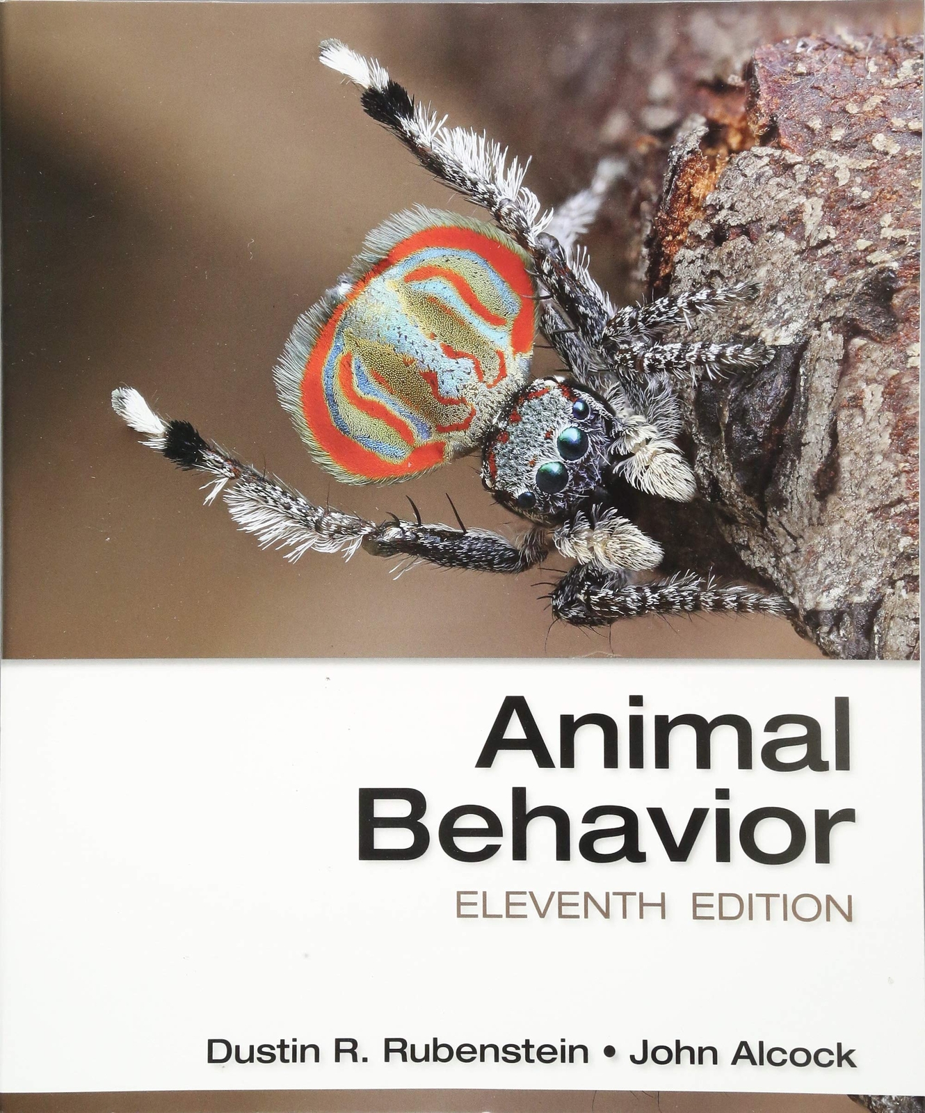 Animal Behavior by Rubenstein