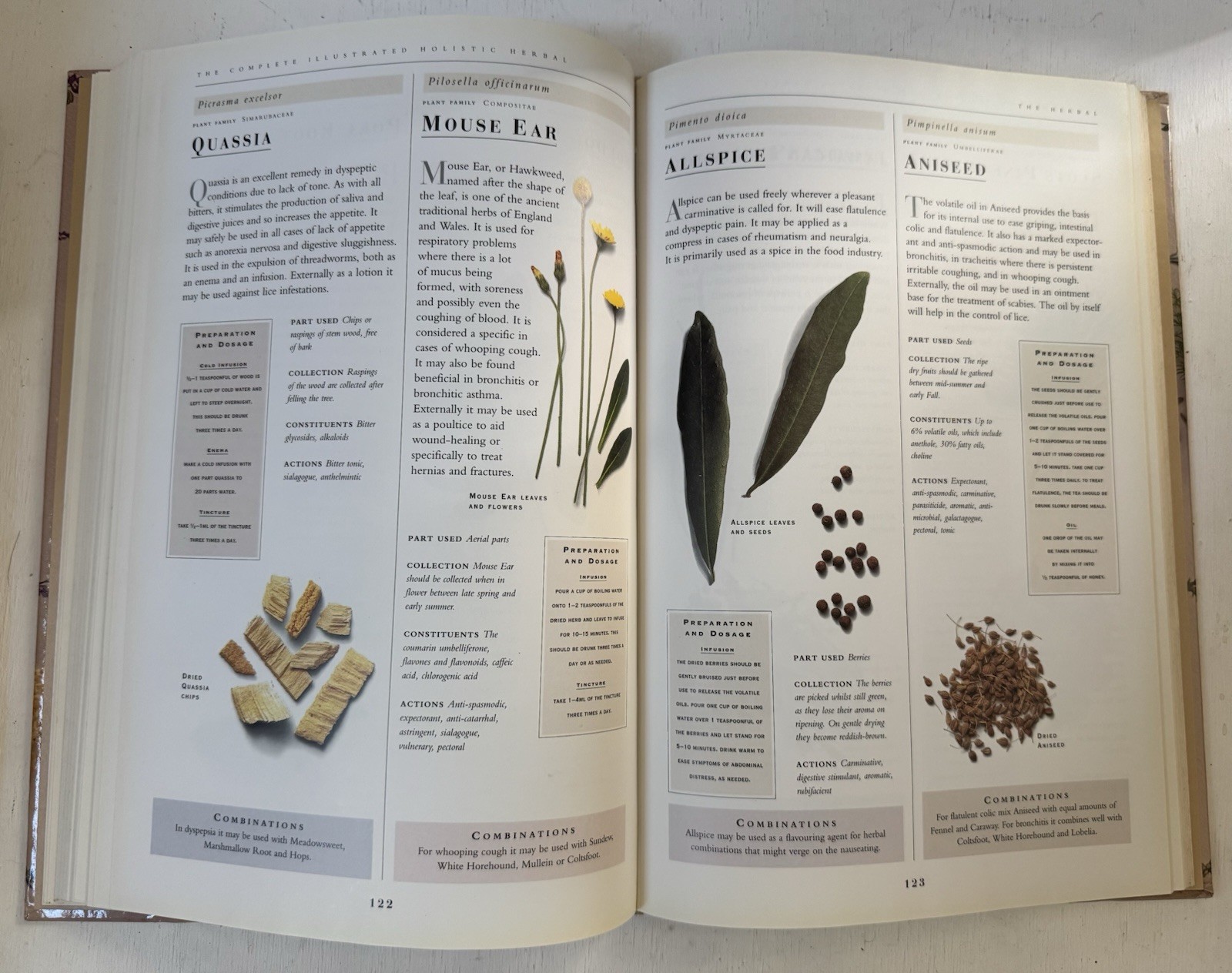 Complete Illustrated Holistic Herbal A Safe Practical Guide Remedies Hoffman