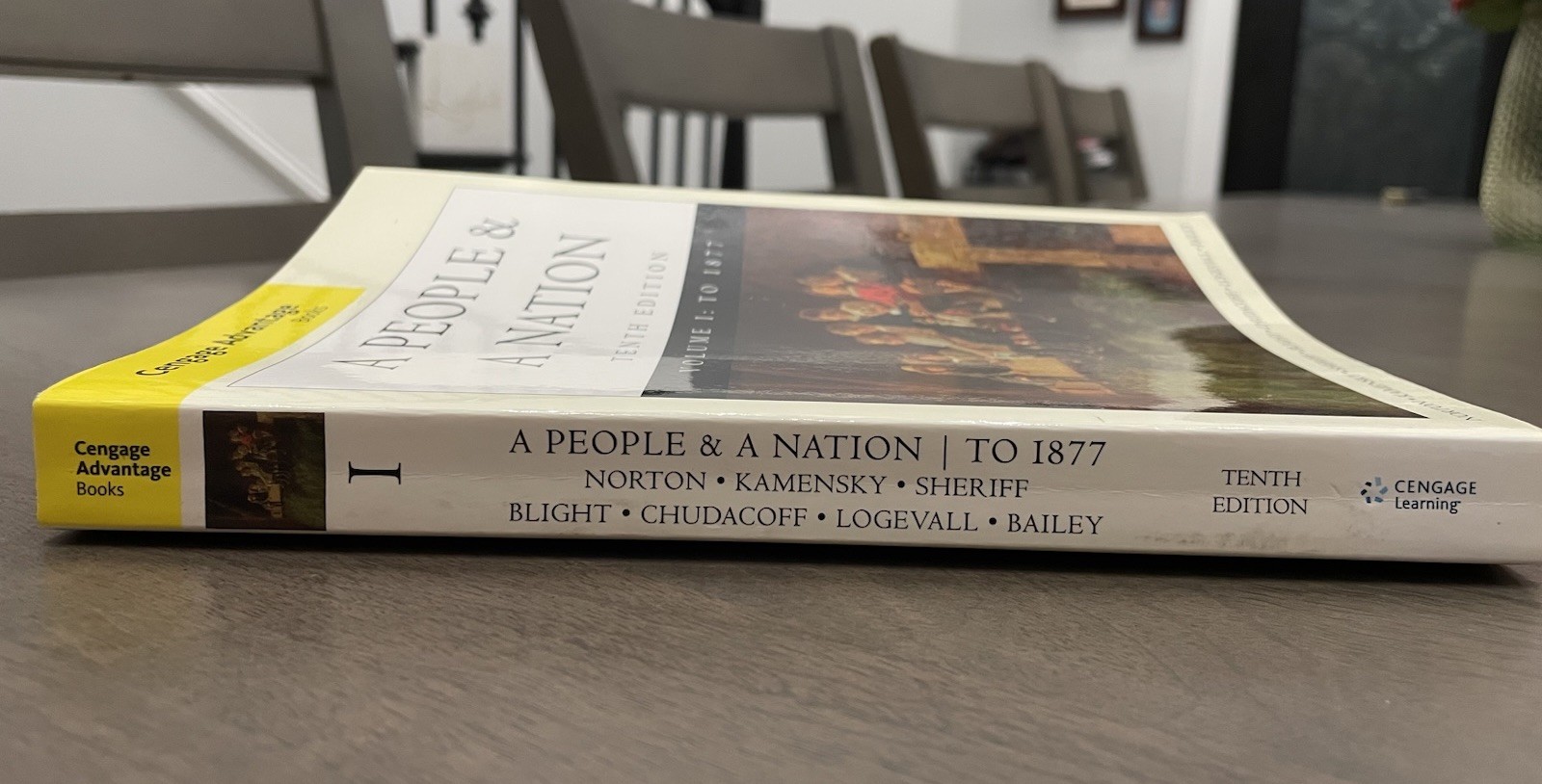 Cengage Advantage Books A People & A Nation 10th Ed Vol 1 To 1877 PB Norton