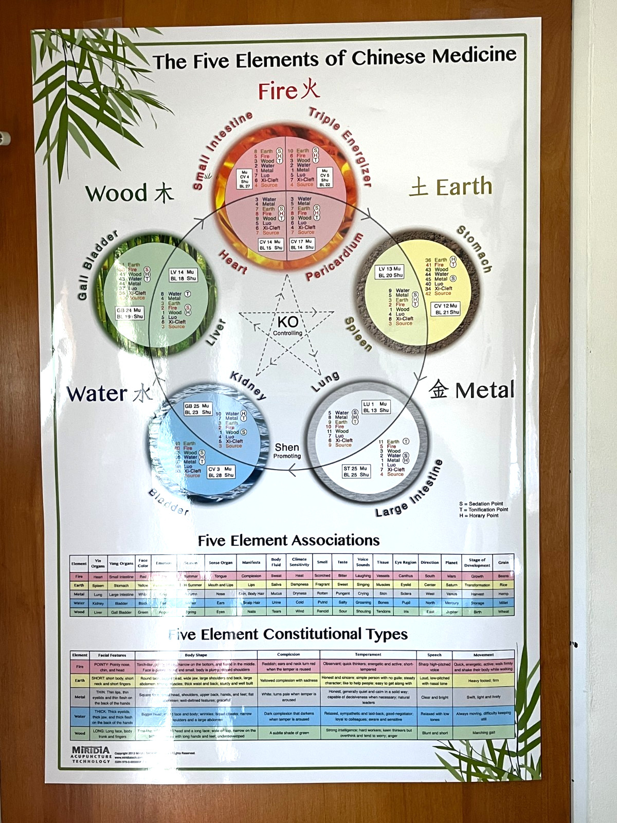 Laminated Wall Chart The Five Elements of Chinese Medicine Miridia Acupuncture