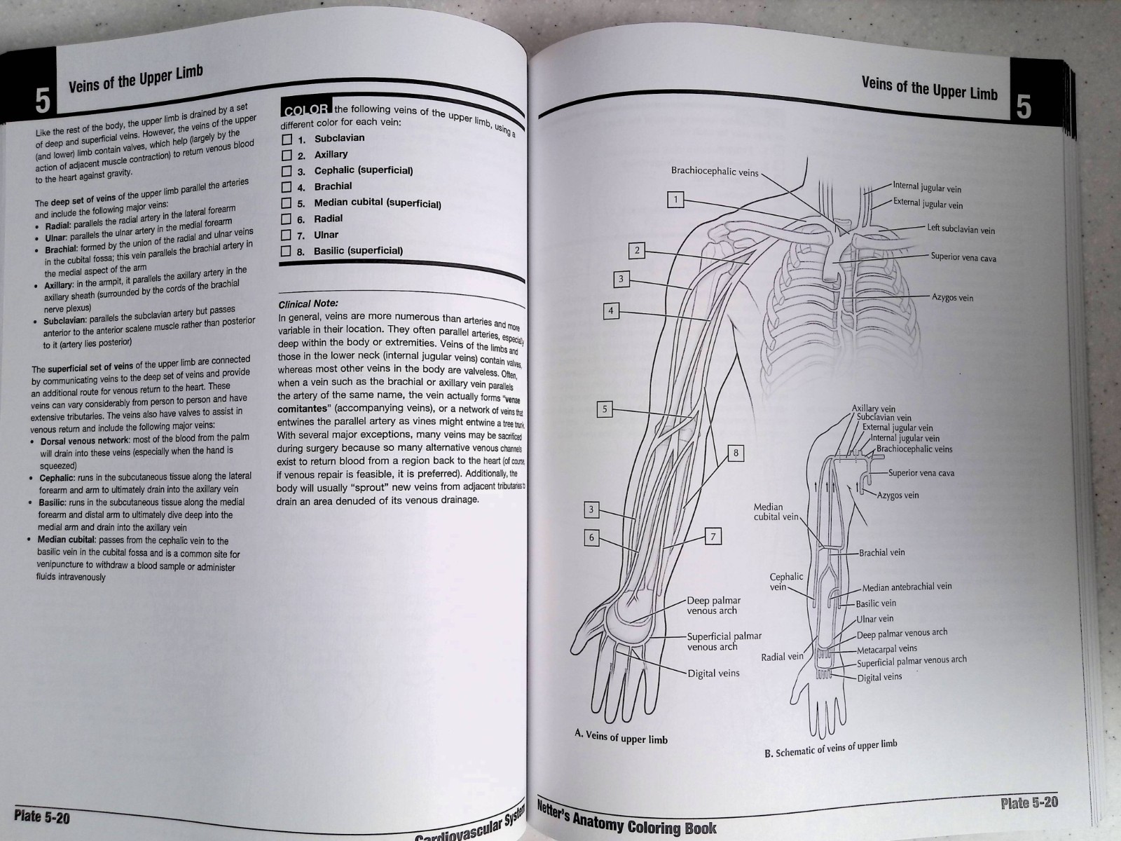 Netter’s Anatomy Coloring Book by – John T. Hansen, 2nd Ed, Large Paperback 2018
