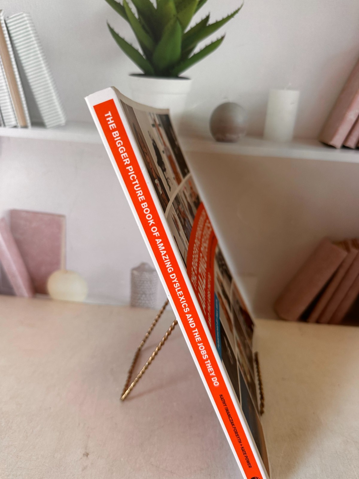 The Bigger Picture Book of Amazi… by Forsyth, Kathy Iwanc