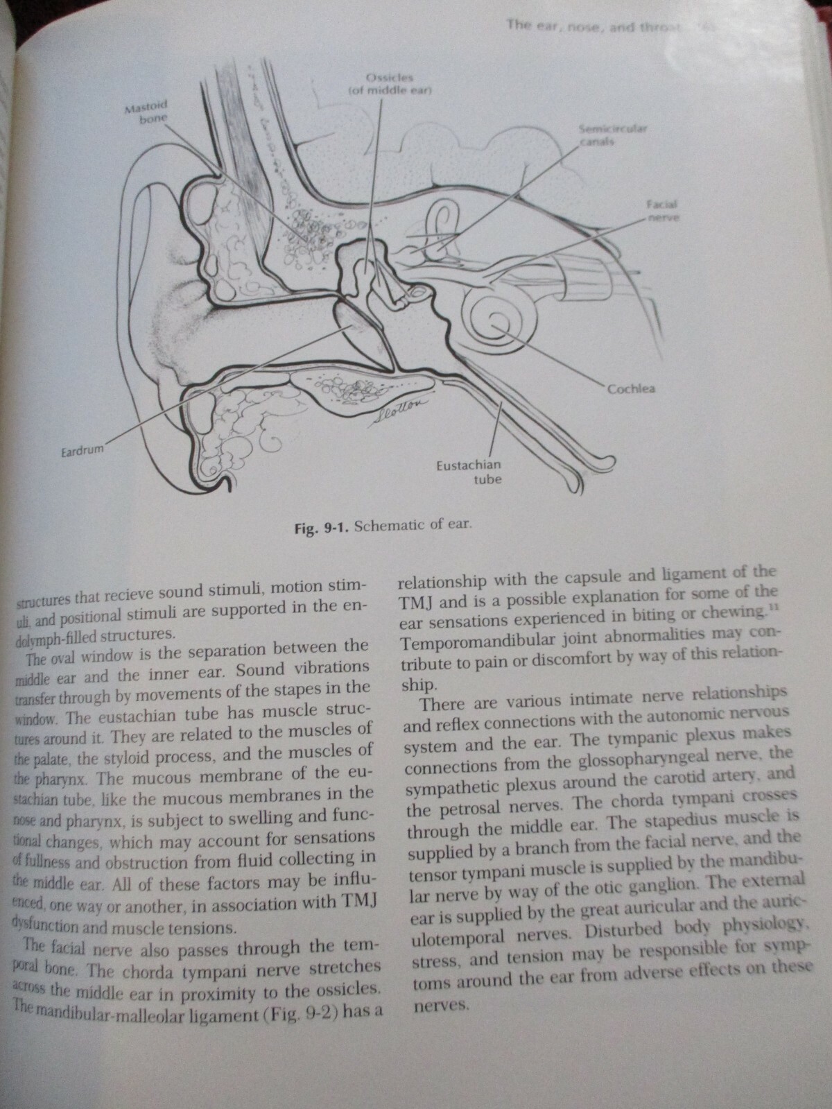 Diseases of the Tempormandibular Apparatus : A Multidisciplinary Approach 1977