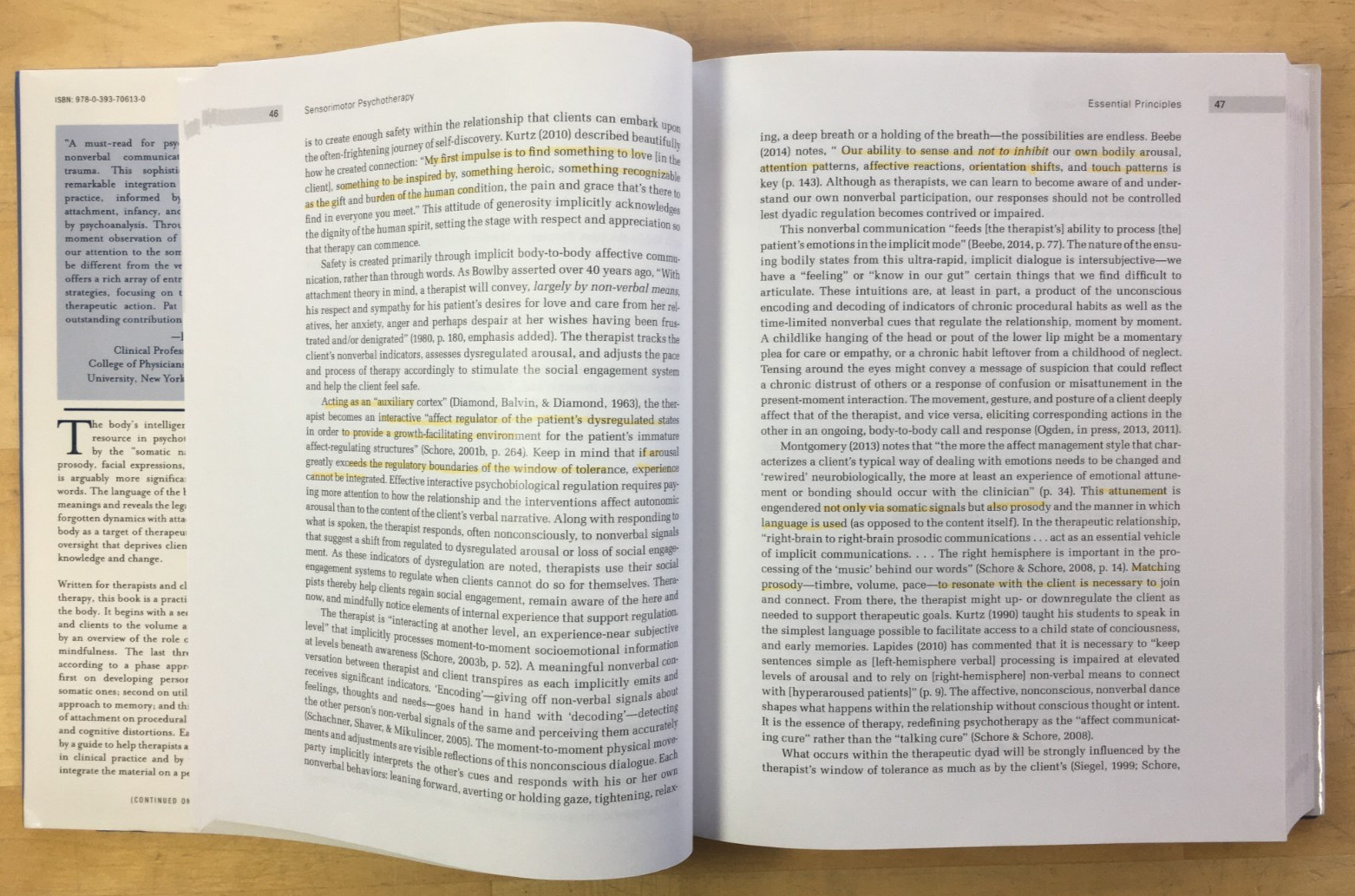 Sensorimotor Psychotherapy: Interventions for Trauma and Attachment by Pat Ogden