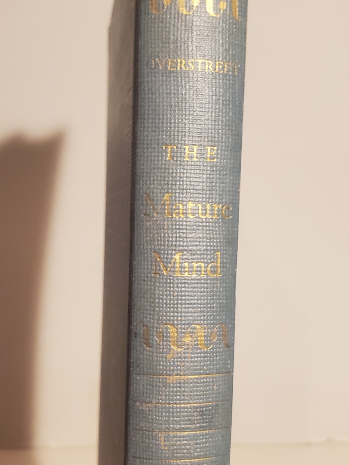 $1 BOOK SALE SCHOLEM ARENDT KLEMPERER INTIMATE CHRONICLES IN TURBULENT TIMES