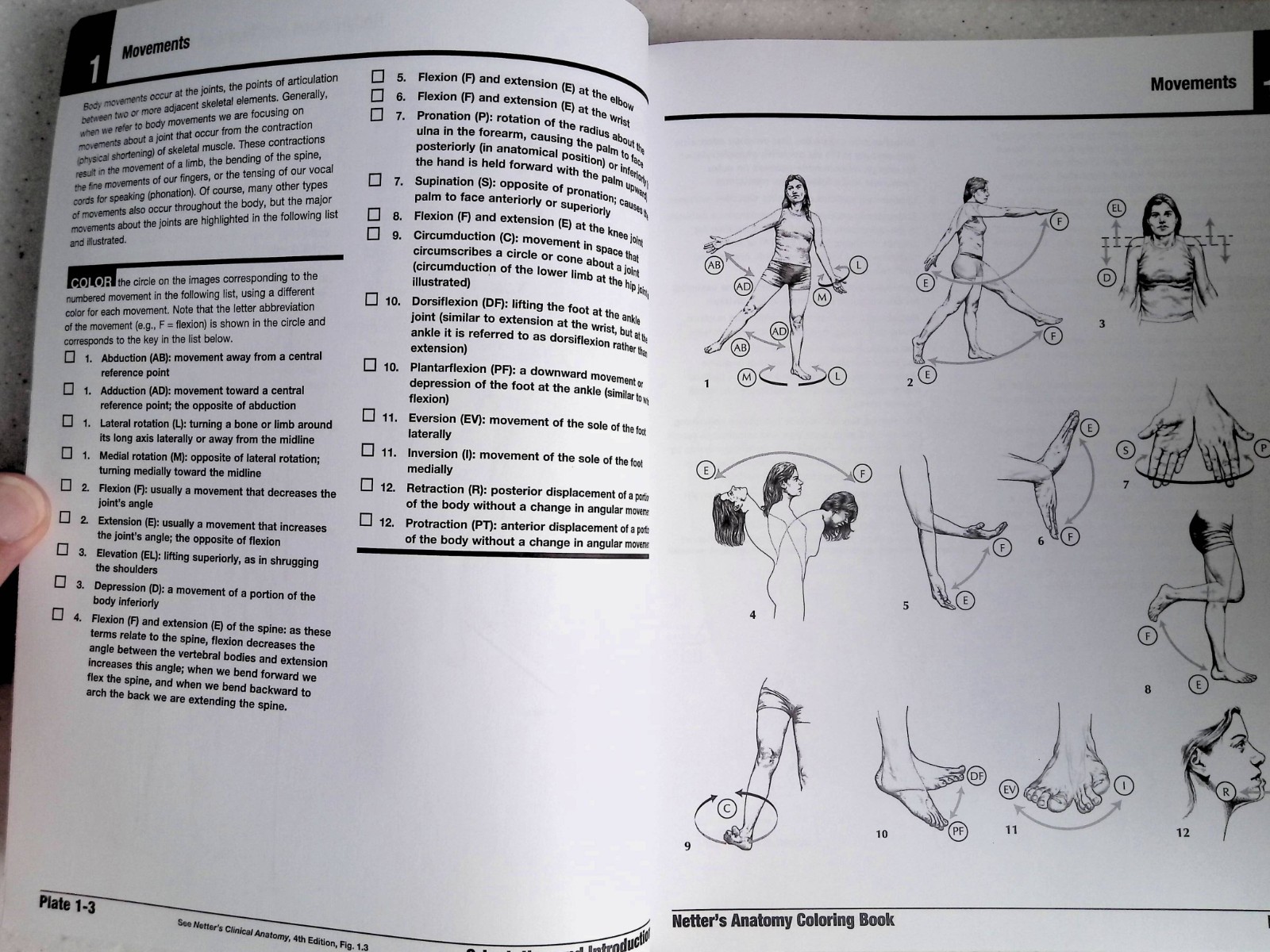 Netter’s Anatomy Coloring Book by – John T. Hansen, 2nd Ed, Large Paperback 2018