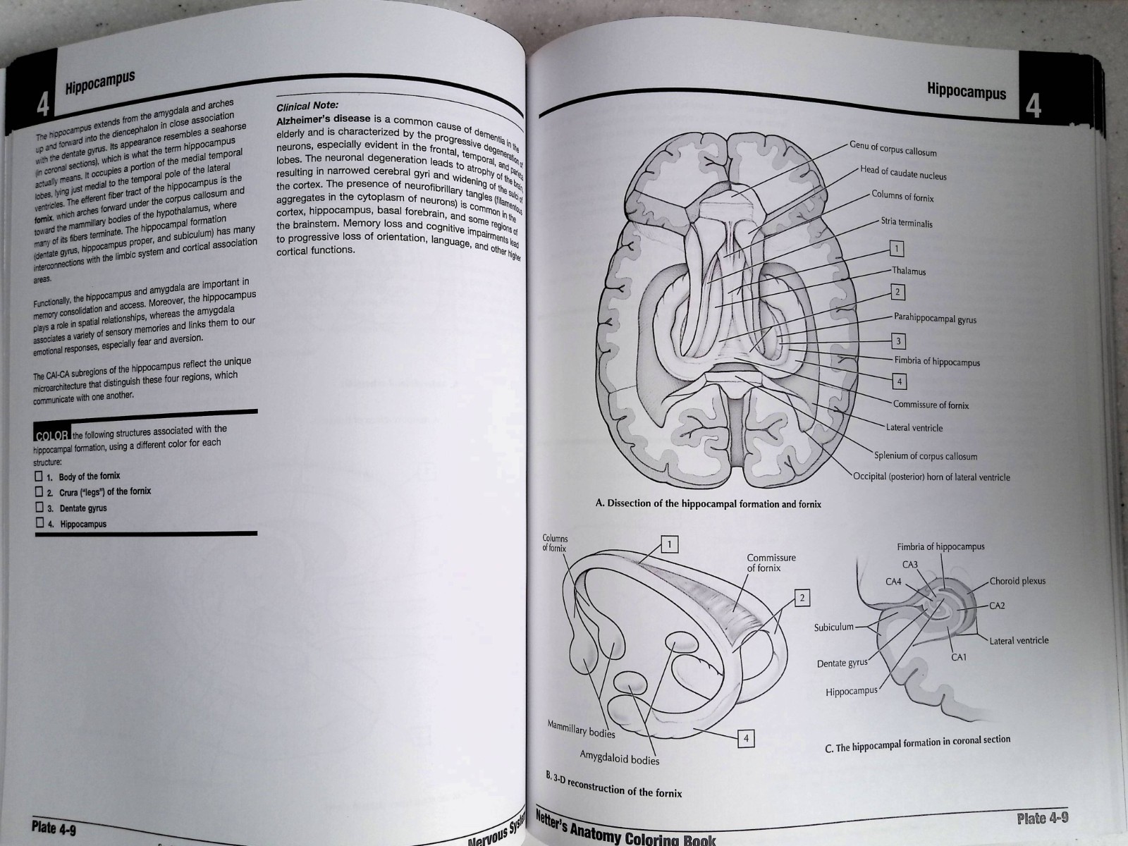 Netter’s Anatomy Coloring Book by – John T. Hansen, 2nd Ed, Large Paperback 2018