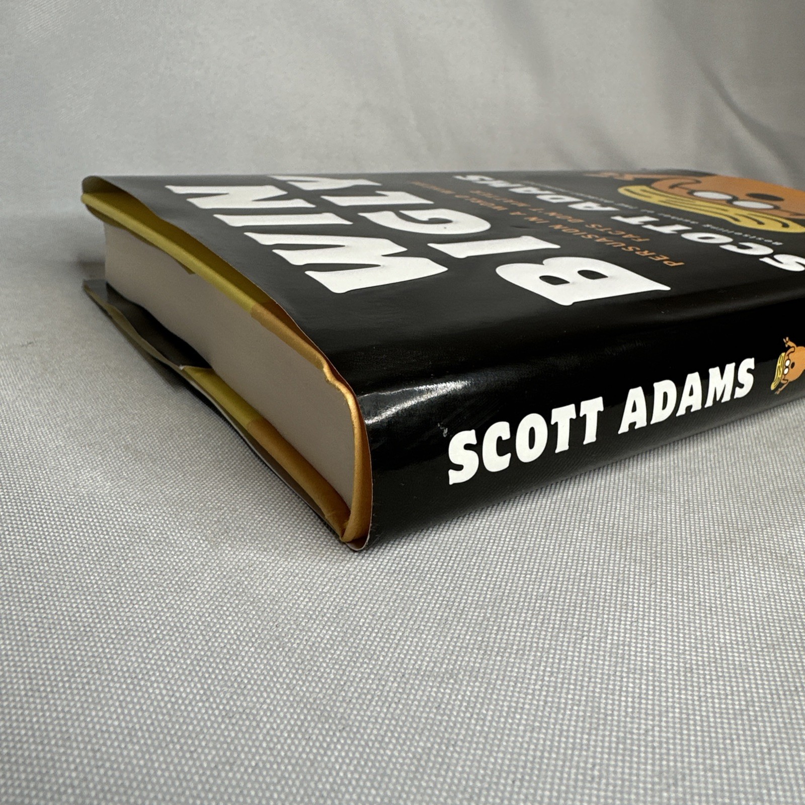 Win Bigly : Persuasion in a World Where Facts Don’t Matter by Scott Adams (2017)