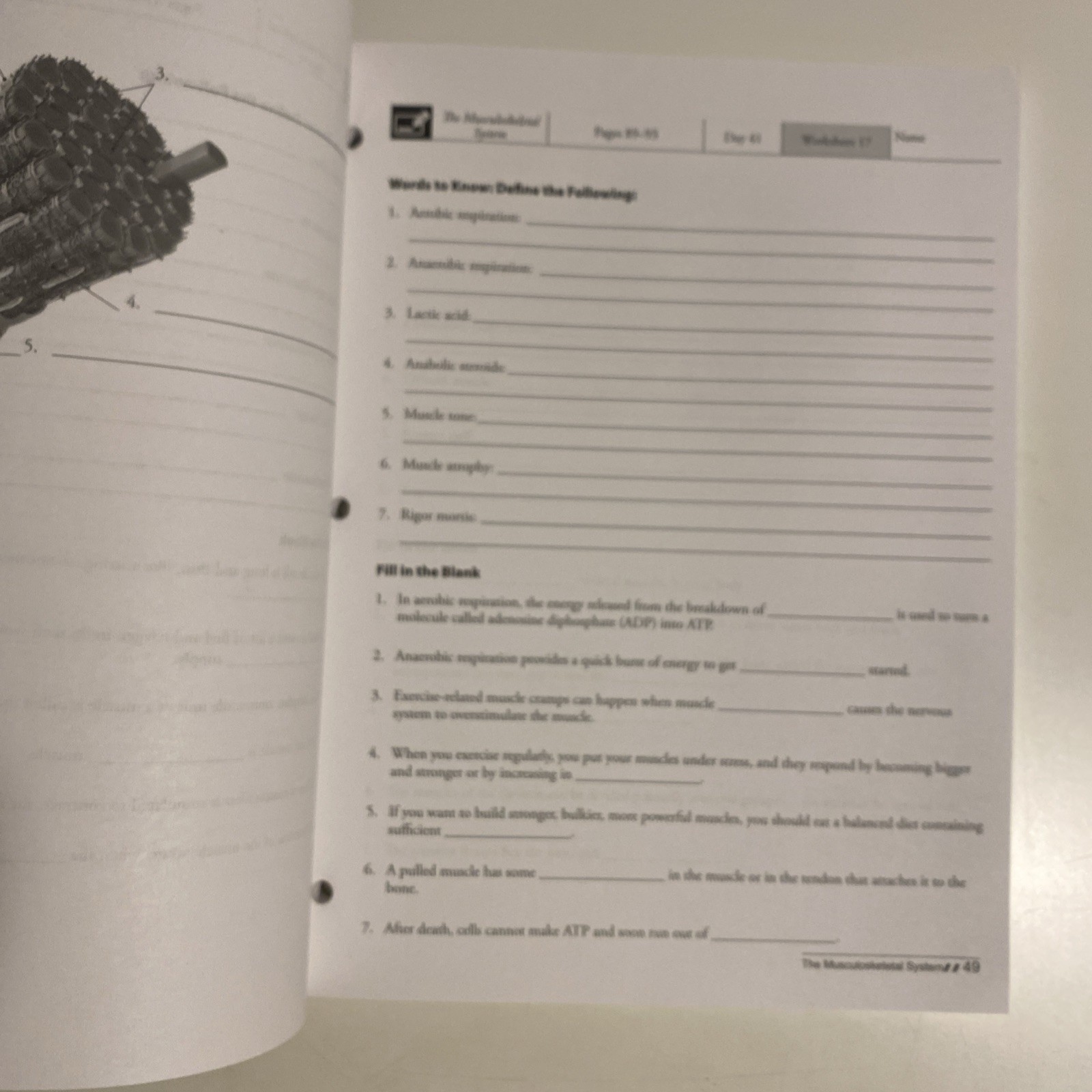 Master Books INTRODUCTION TO ANATOMY and PHYSIOLOGY I Curriculum Pack
