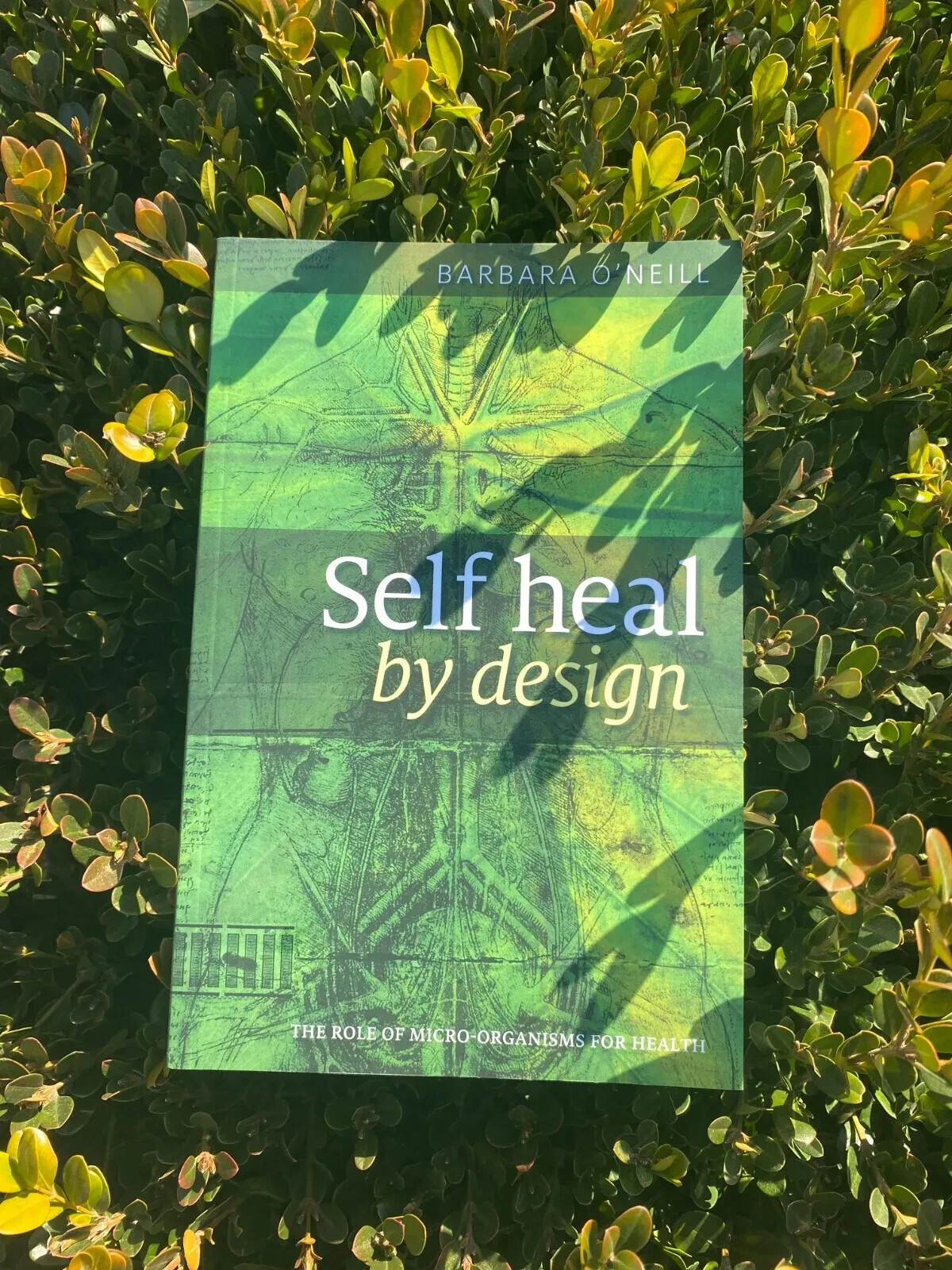 Self Heal By Design Book By Barbara O’Neill Worldwide International Shipping
