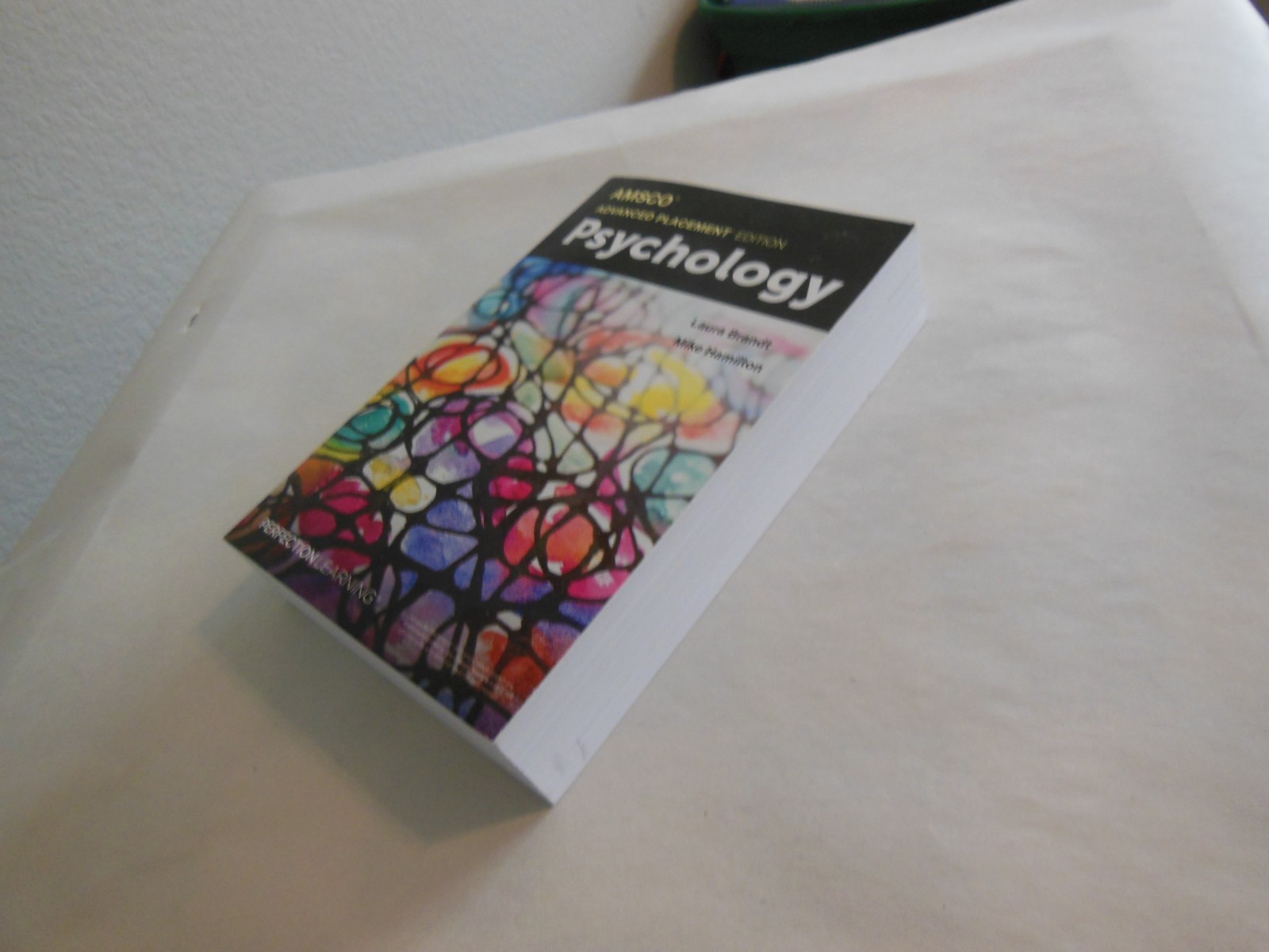Advanced Placement Psychology, 3rd Edition (AMSCO PUBLICATION)