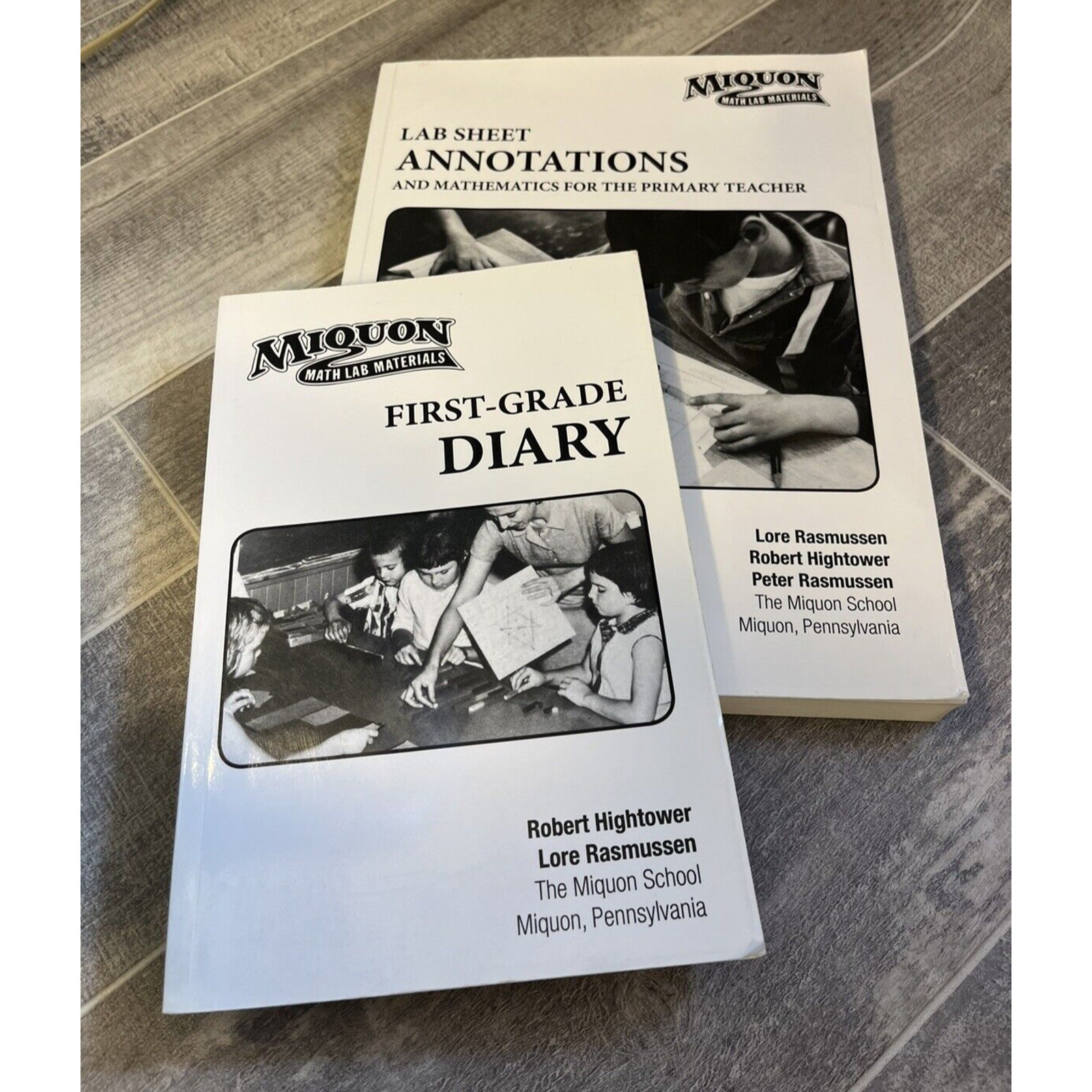 Miquon Math Lab Sheet Annotations and First Grade Diary Homeschool Curriculum