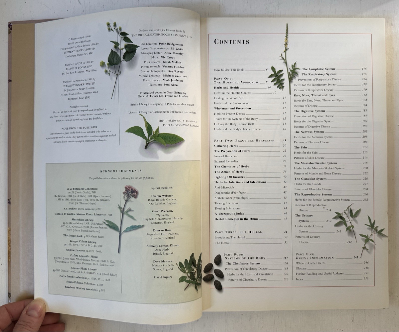 Complete Illustrated Holistic Herbal A Safe Practical Guide Remedies Hoffman