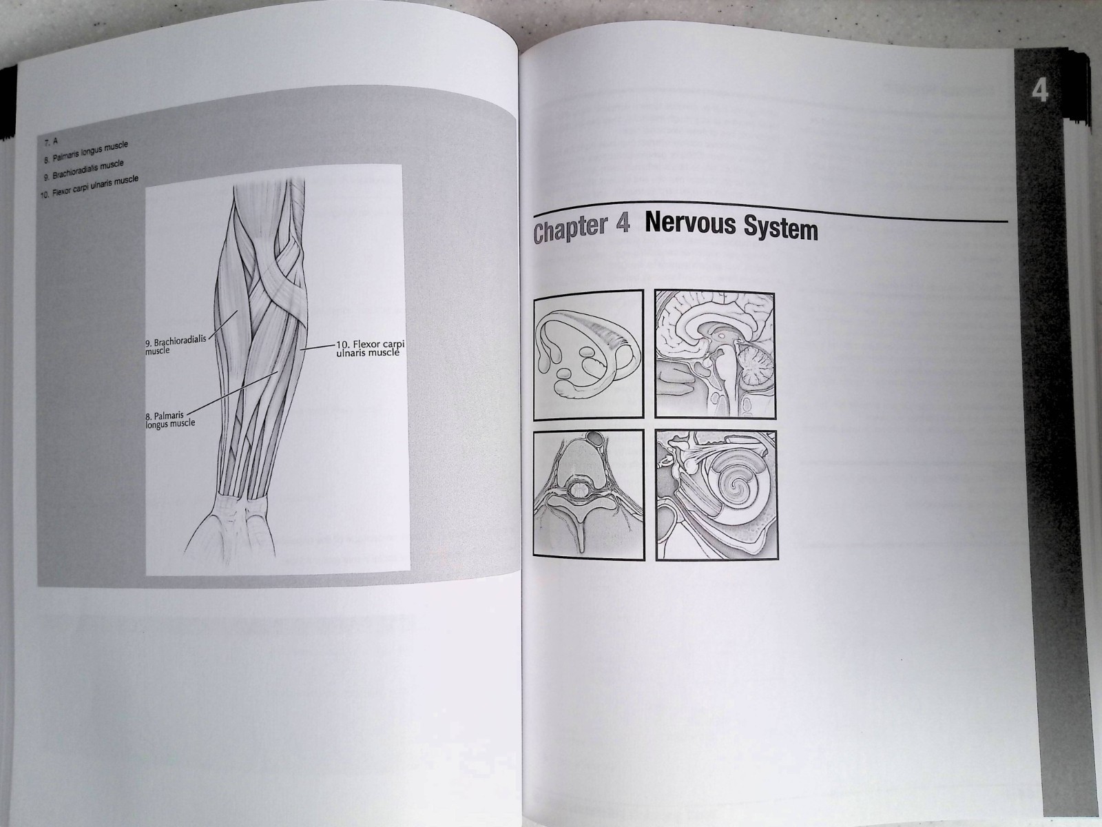 Netter’s Anatomy Coloring Book by – John T. Hansen, 2nd Ed, Large Paperback 2018
