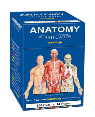 Anatomy (Quickstudy (Flash Cards)) – Cards By BarCharts, Inc. – GOOD