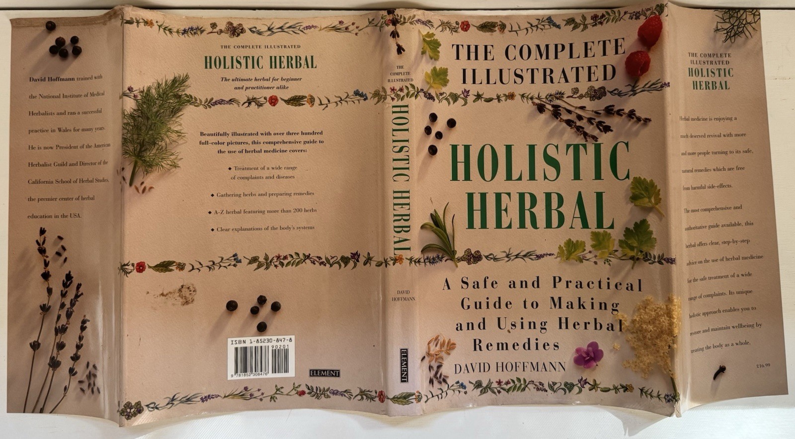 Complete Illustrated Holistic Herbal A Safe Practical Guide Remedies Hoffman