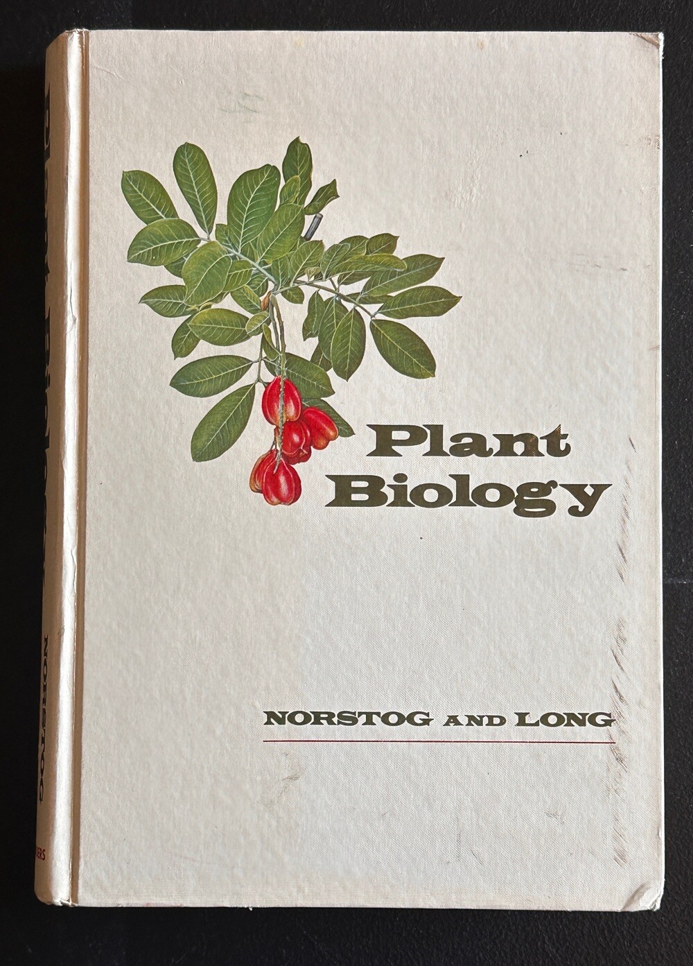 Plant Biology by NORSTROG & LONG hc 1976