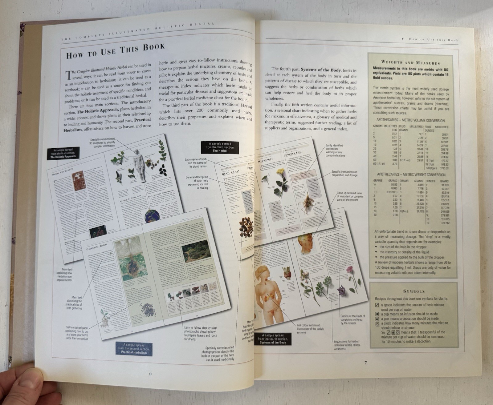 Complete Illustrated Holistic Herbal A Safe Practical Guide Remedies Hoffman