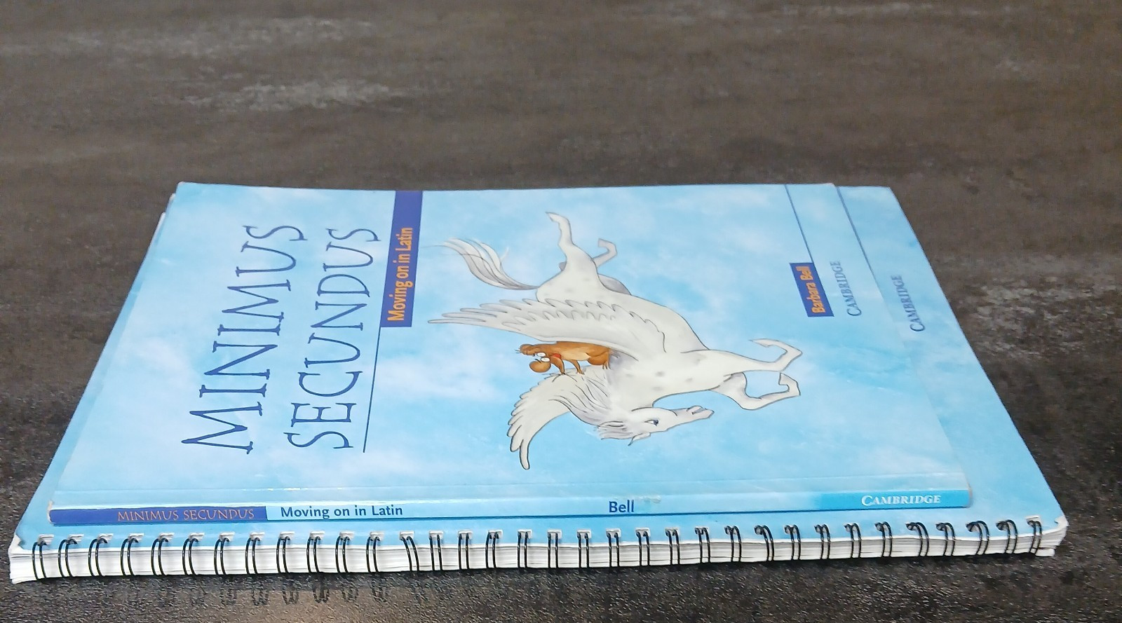 Minimus Secundus Teacher’s Resource and Student Book: Moving on in Latin