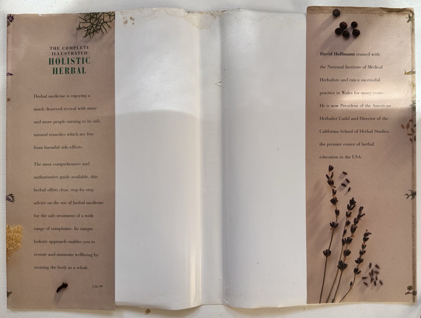 Complete Illustrated Holistic Herbal A Safe Practical Guide Remedies Hoffman