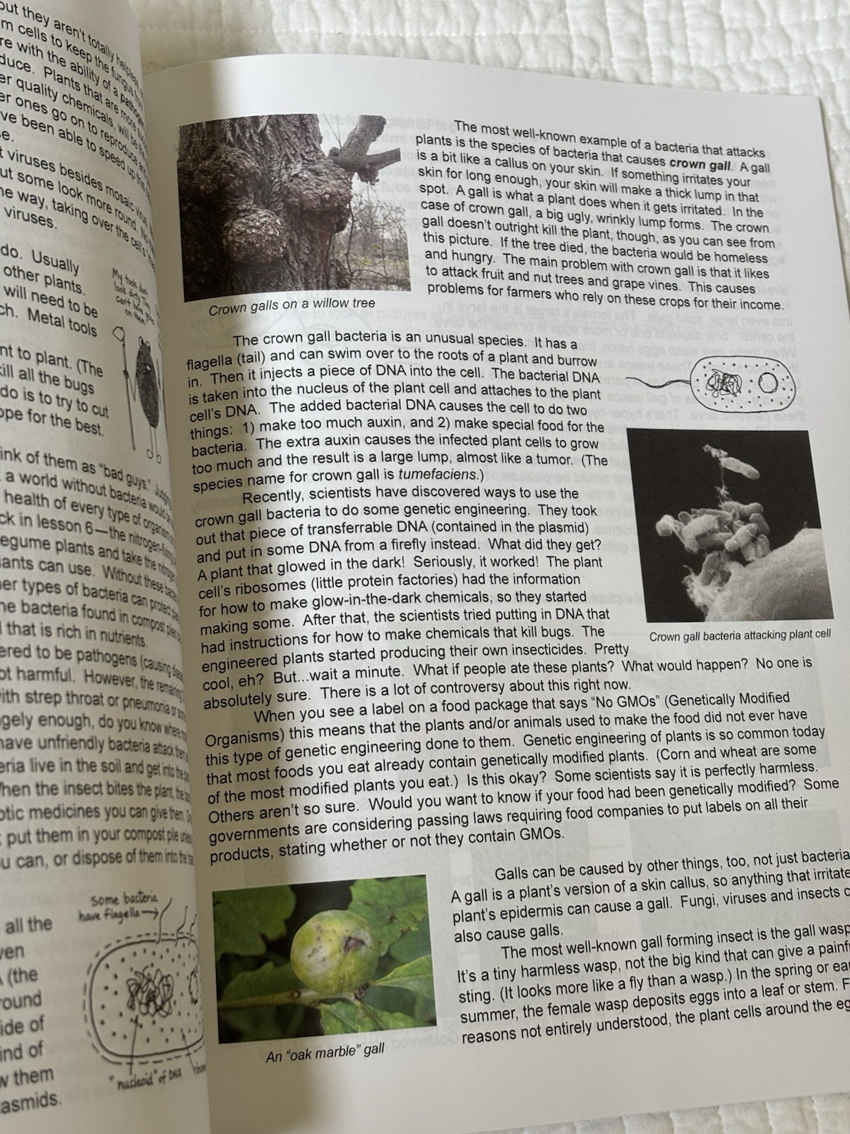 Botany in 8 Lessons; Student Text by Ellen Johnston McHenry (English) Paperback