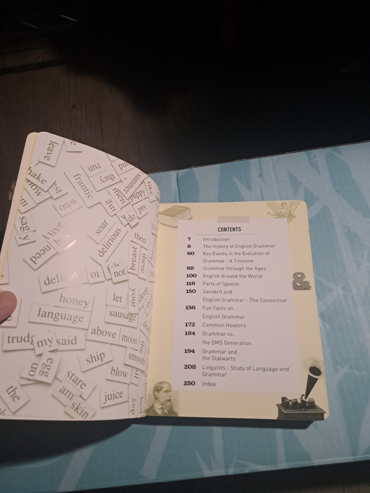501 Things You Should Have Learned About… Grammar by Sonia Mehta (Trade…