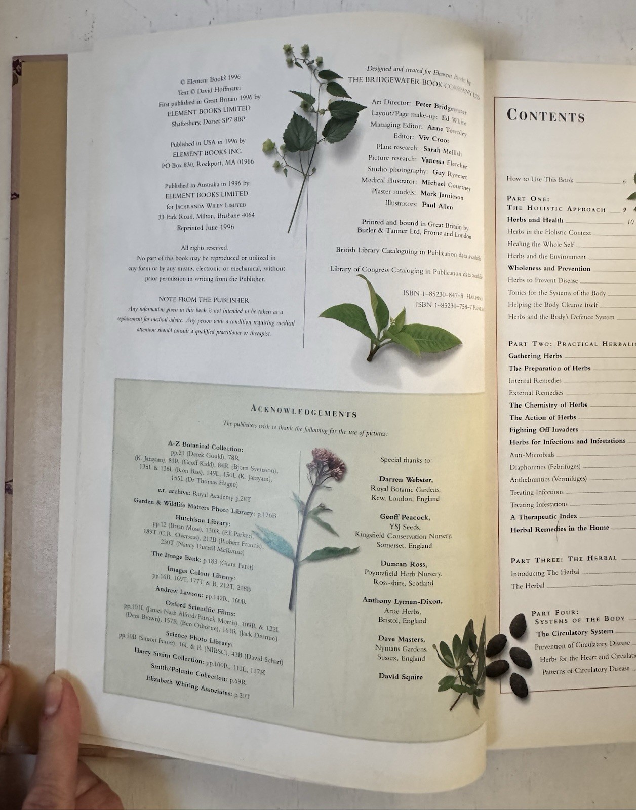 Complete Illustrated Holistic Herbal A Safe Practical Guide Remedies Hoffman