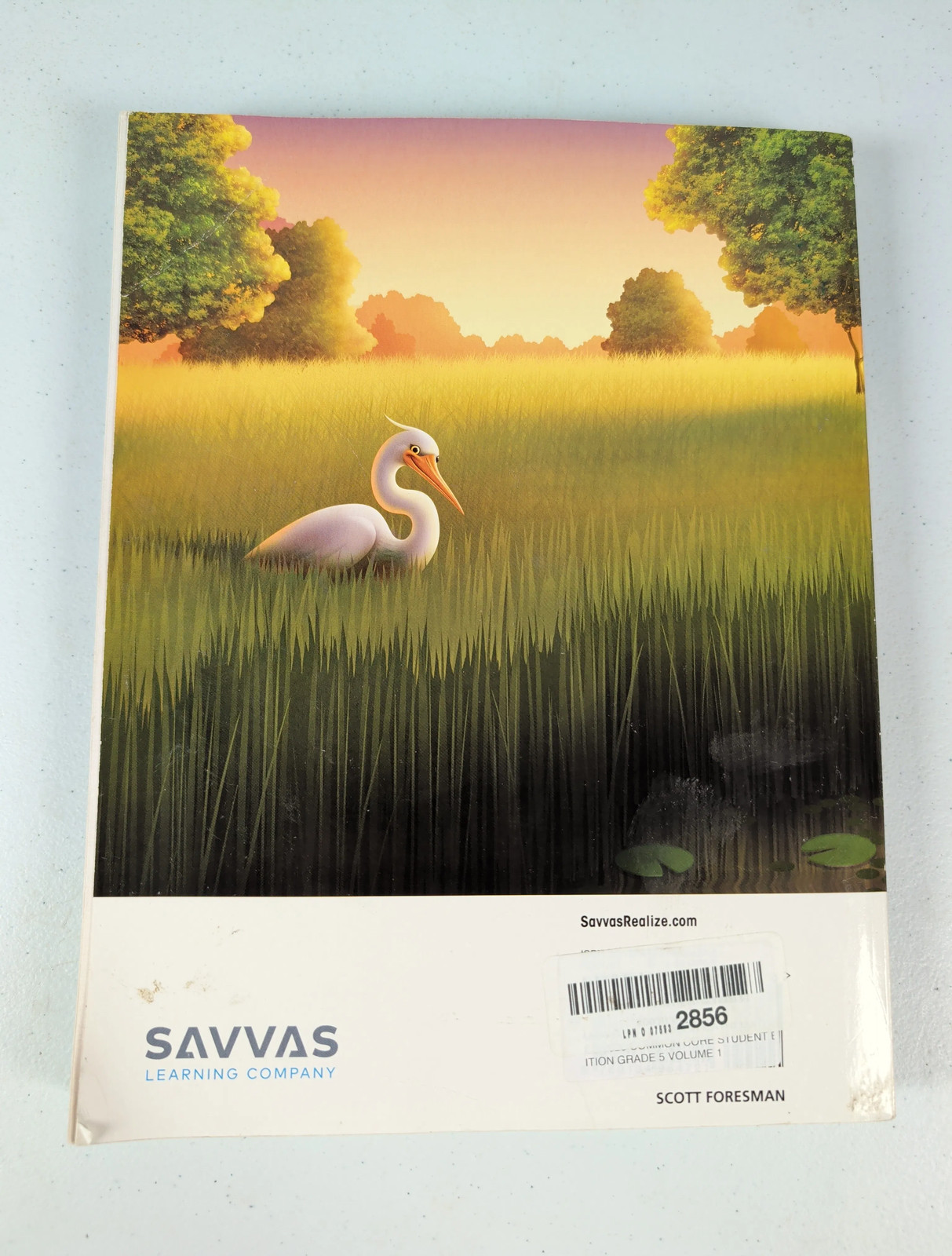 enVision Mathematics Common Core Grade 5 Volume 1 Paperback