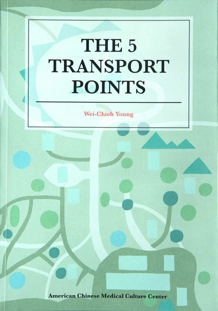 The 5 Transport Points by Wei Chieh Young
