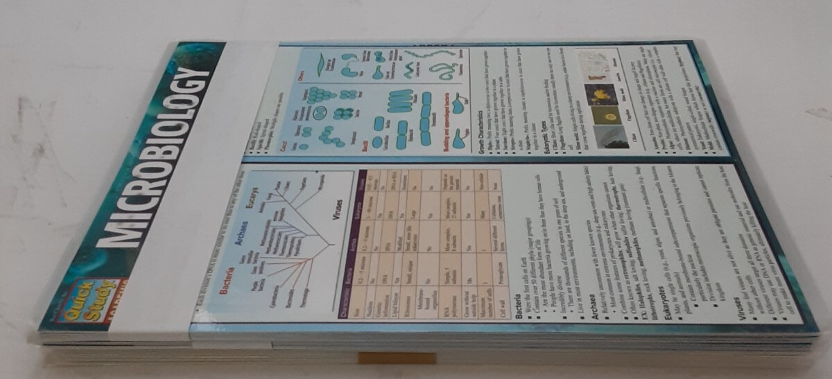Quick Academic Study laminated learning Aids Lot of 20 (3 diff charts) See Desc