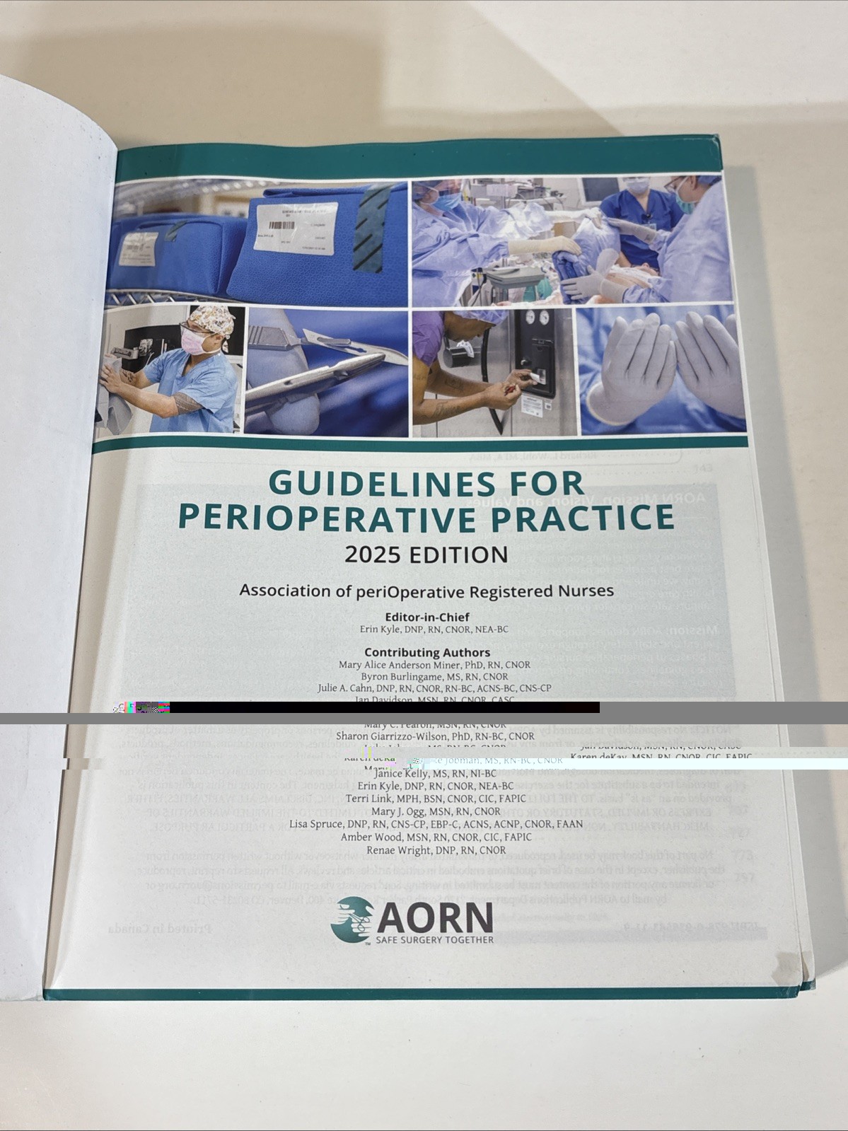 AORN Guidelines For Perioperative Practice 2025 Edition Book