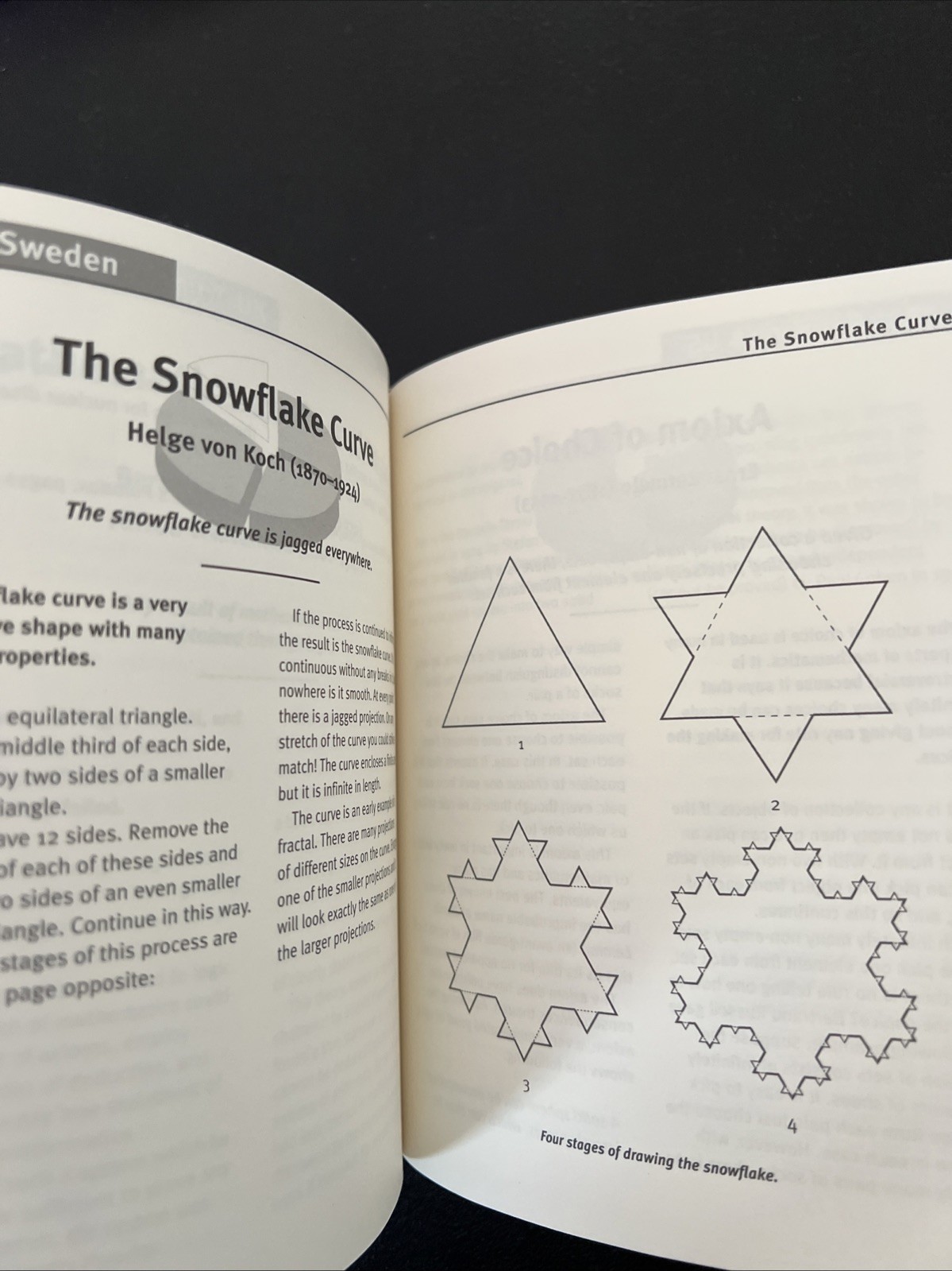 Little Book of Mathematical Principles, Theories, and Things by Robert Solomon